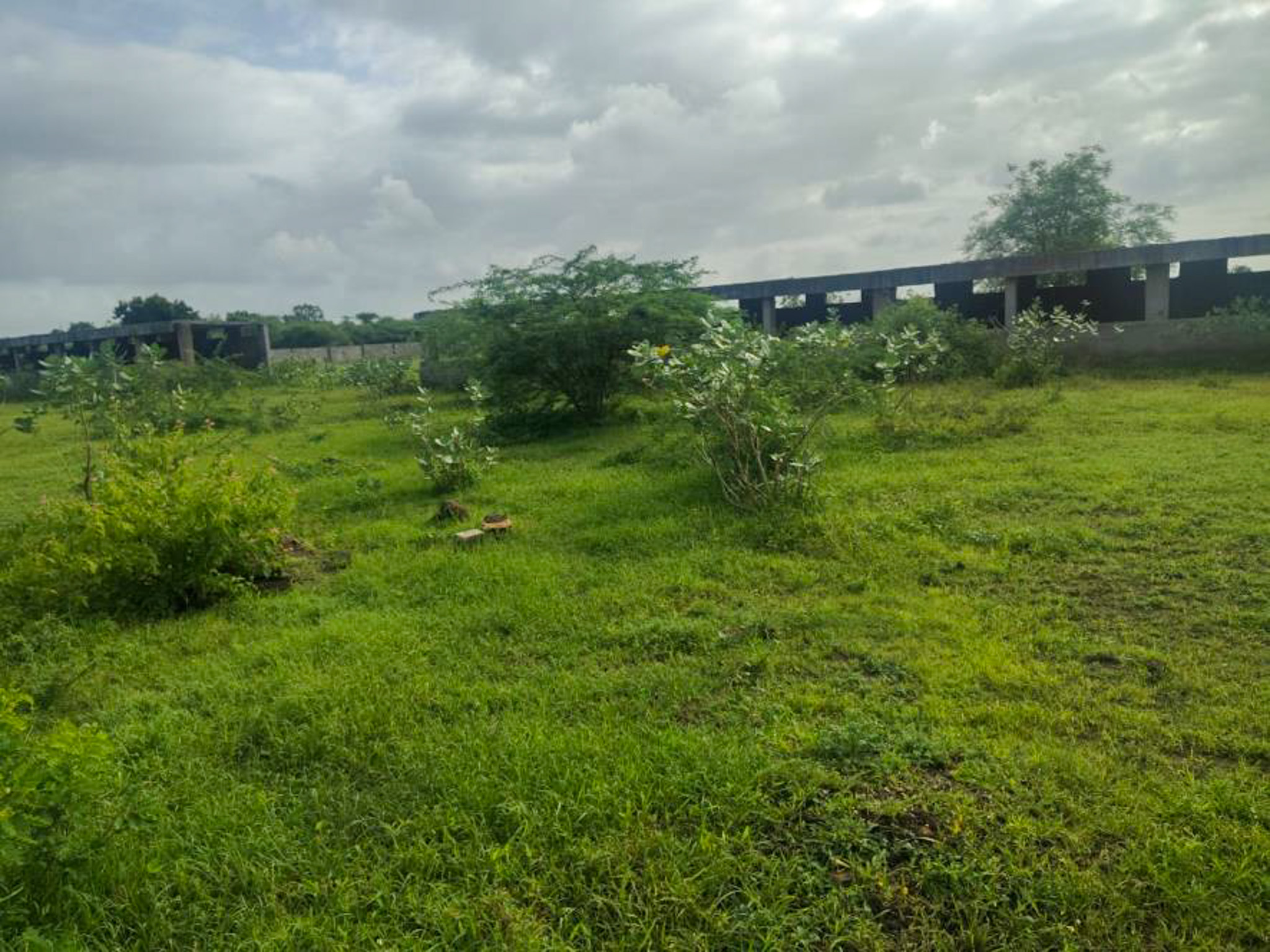 Individual House for sale in JAMNAGAR Jamnagar — photo 9
