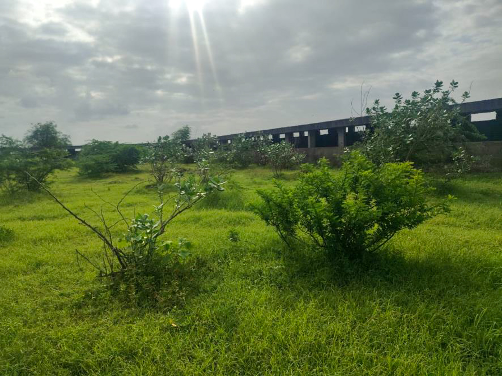 Individual House for sale in JAMNAGAR Jamnagar — photo 11