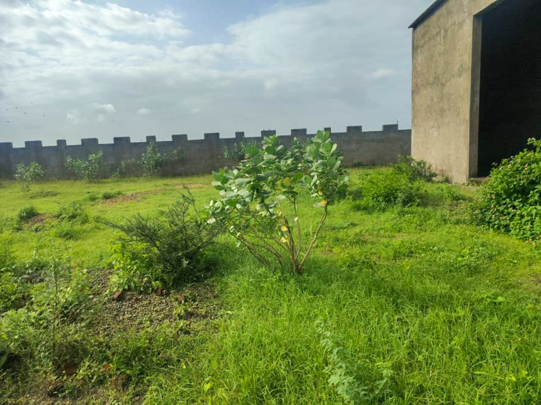 Individual House for sale in JAMNAGAR Jamnagar — photo 13