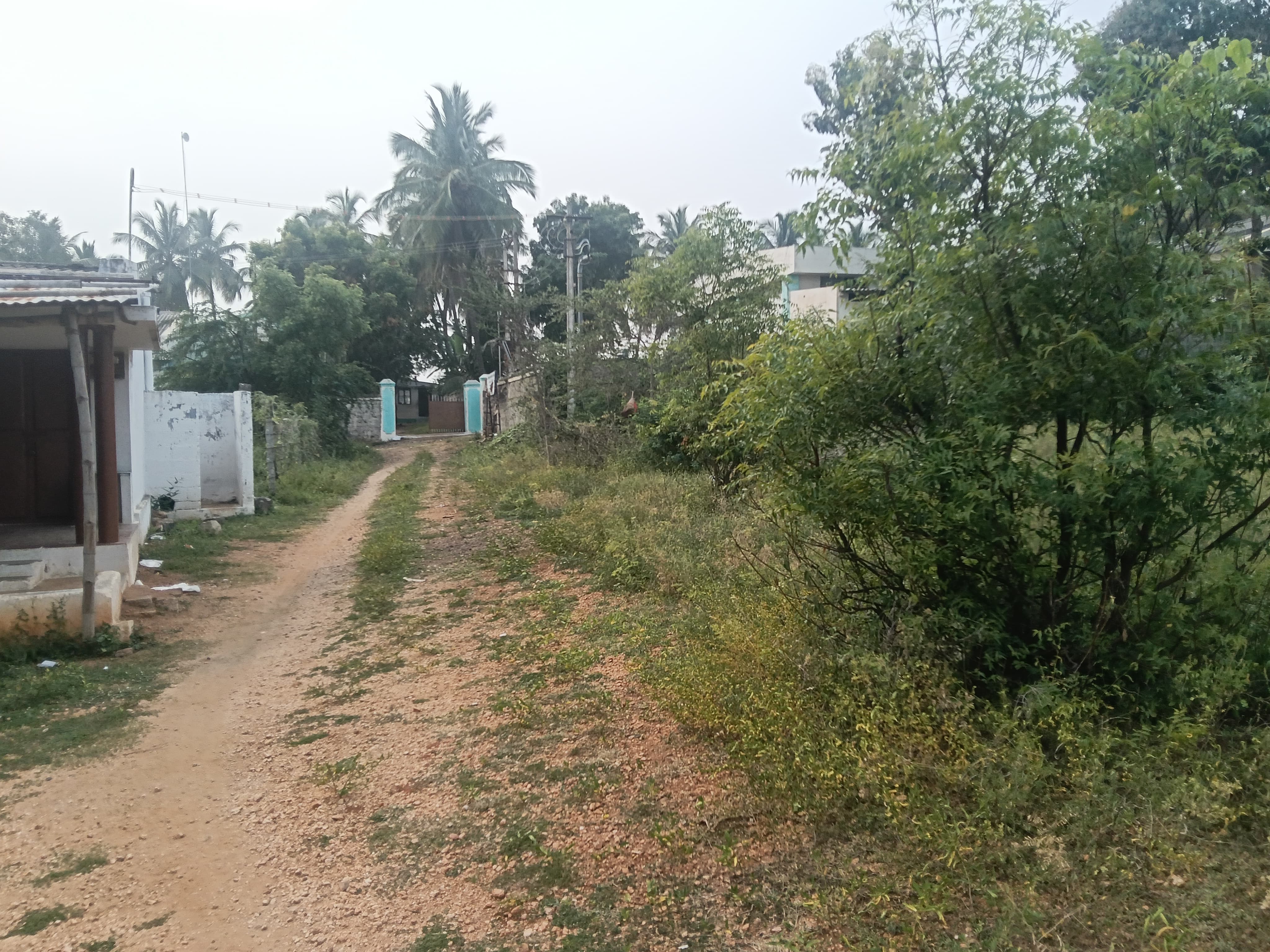 Others for sale in Tiruppur — photo 8