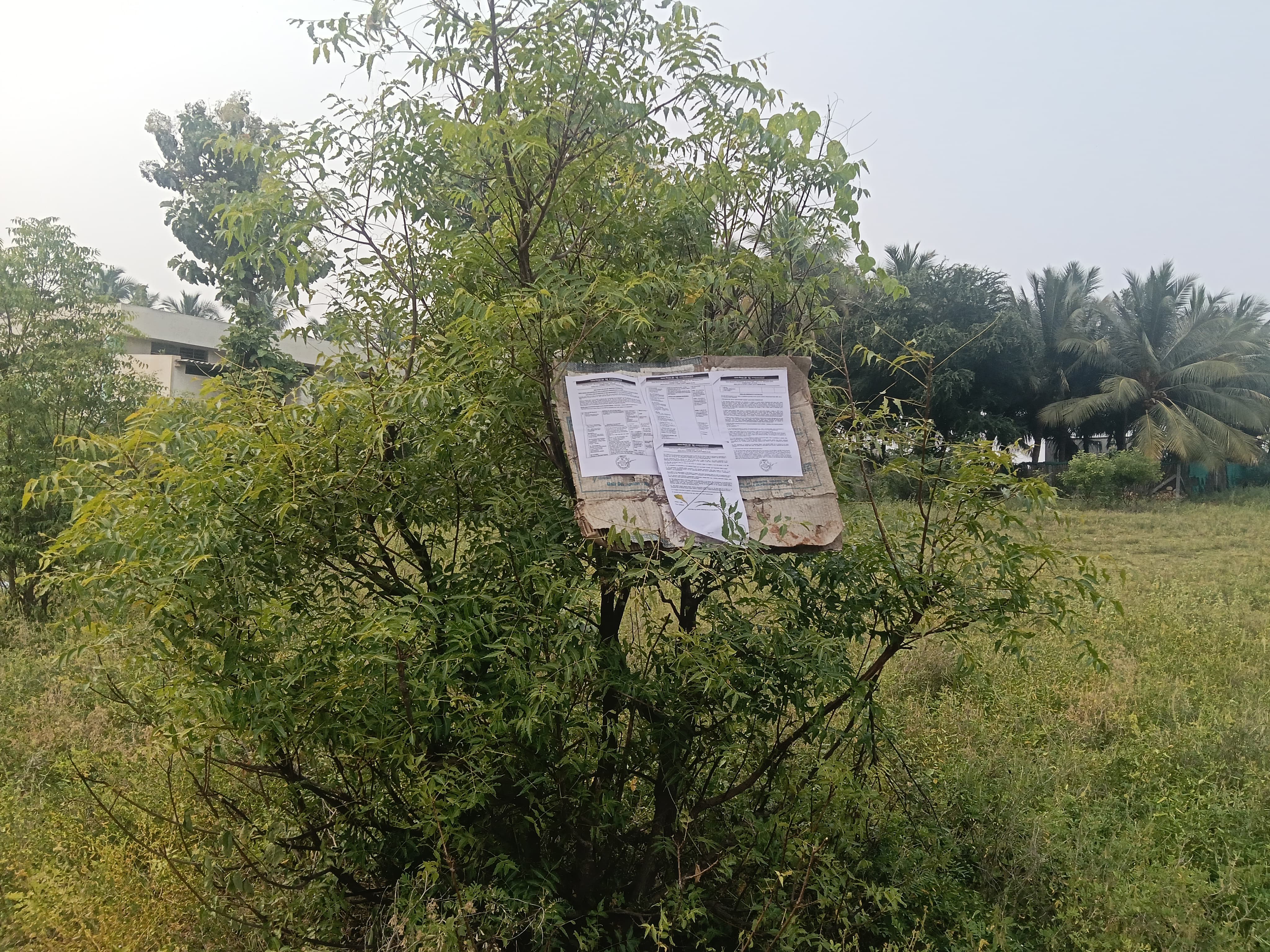 Others for sale in Tiruppur — photo 11
