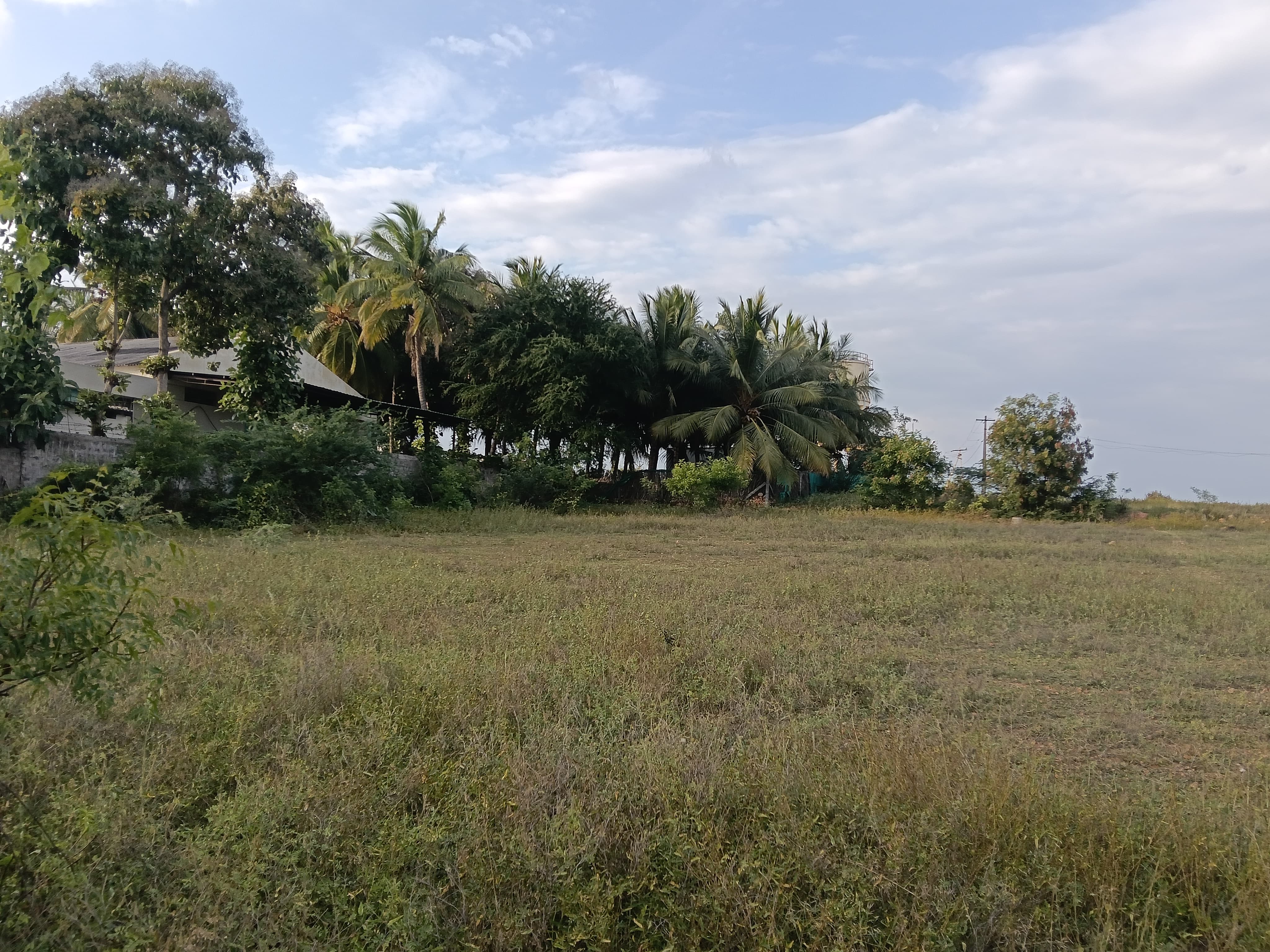 Others for sale in Tiruppur — photo 17