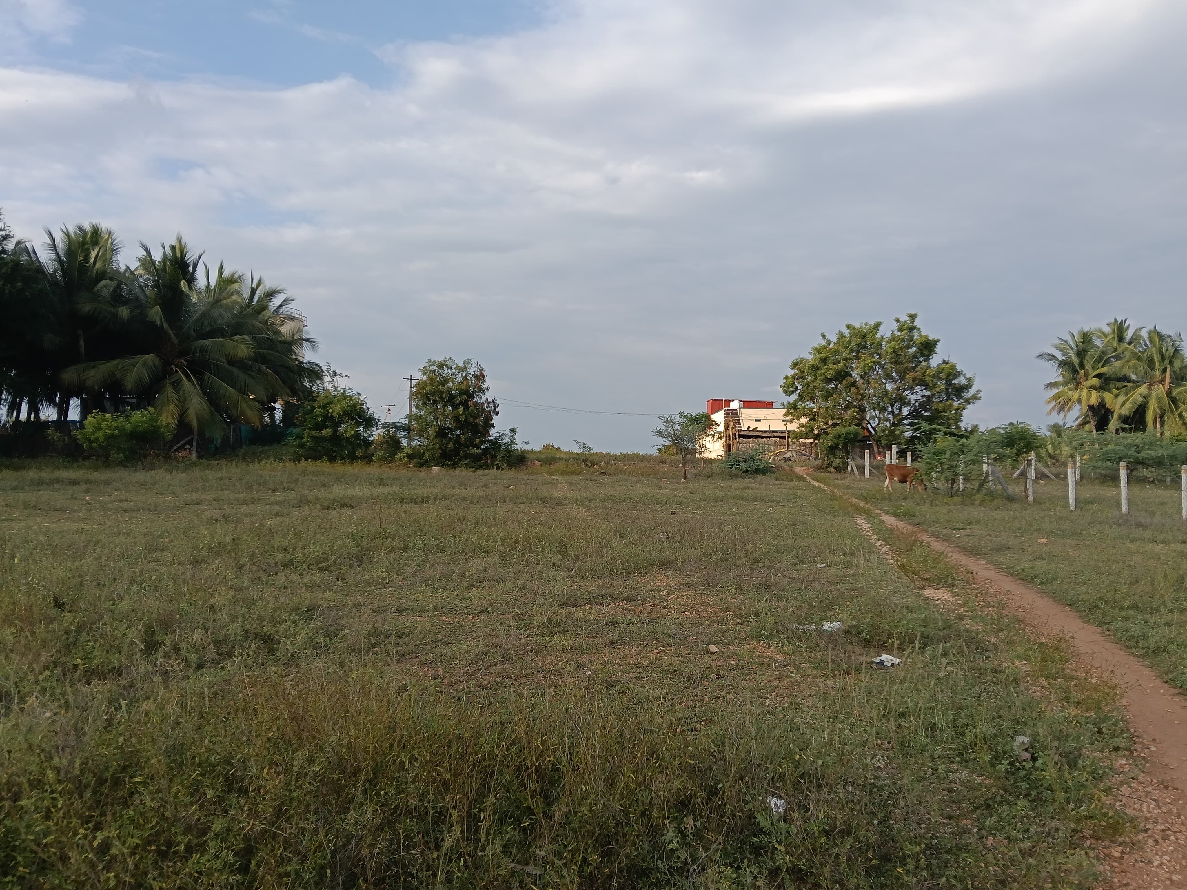 Others for sale in Tiruppur — photo 16
