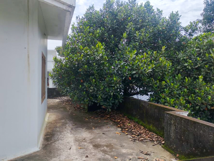 2000 square feet Individual House for sale in C A COLLINS AND C A RAPHY, OLLUR Nenmenikkara — photo 51