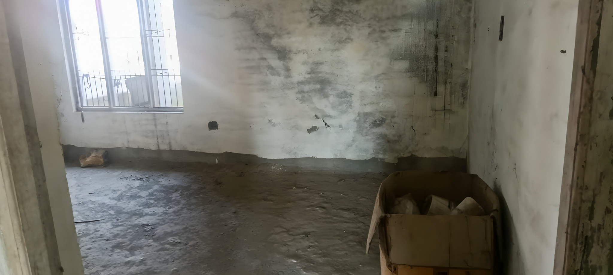 Individual House for sale in Jawalamukhi — photo 12