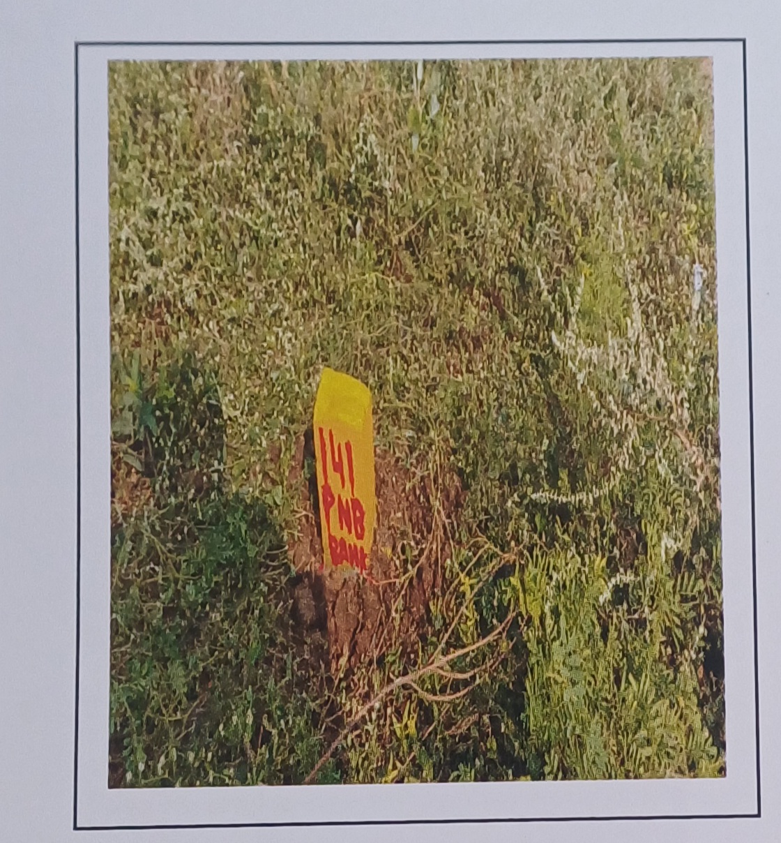 535 square yard Plot for sale in Ongole — photo 1