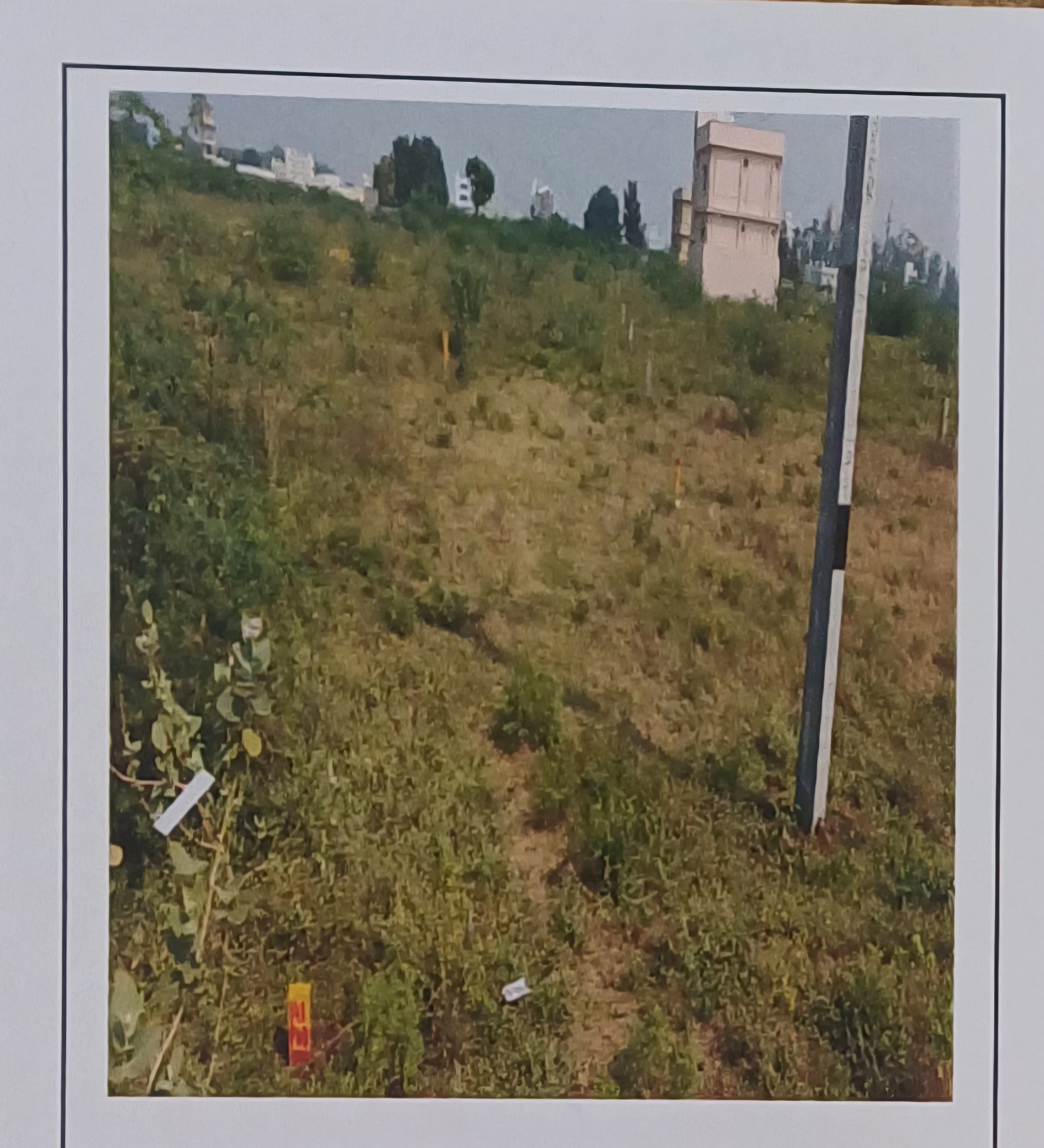 535 square yard Plot for sale in Ongole — photo 3