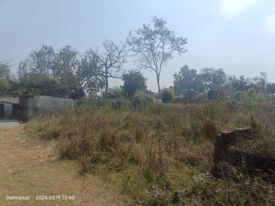 Plot for sale in Vikasnagar — photo 1