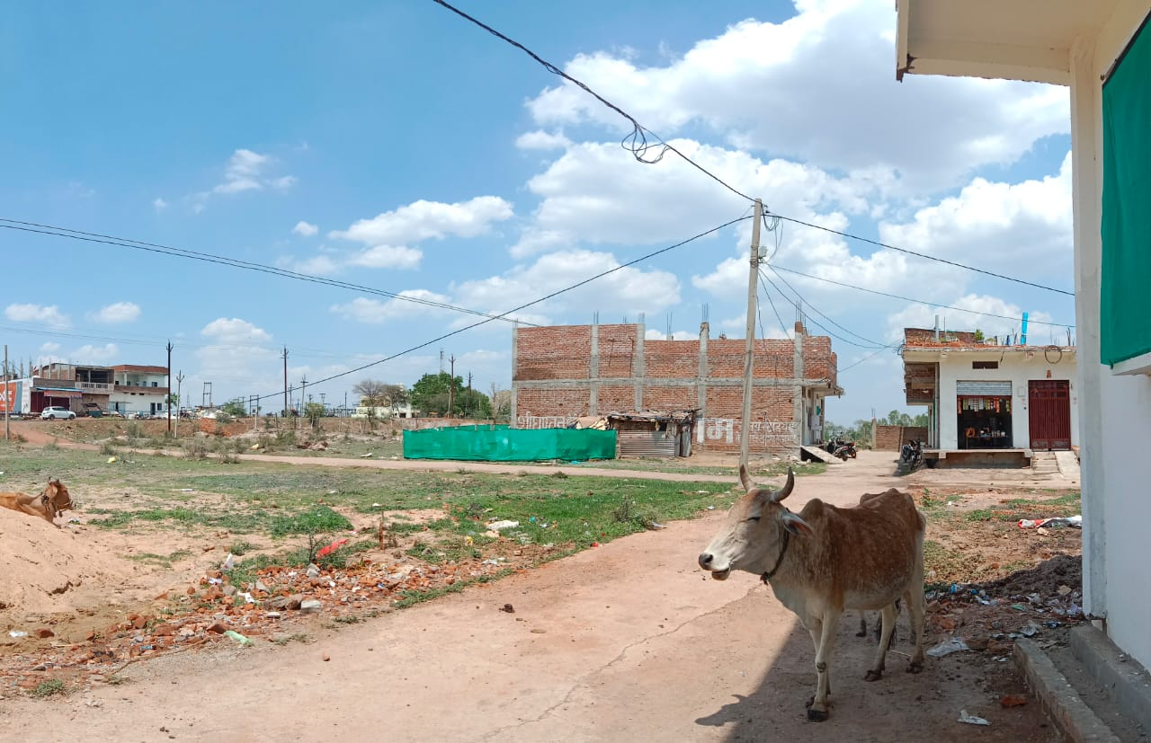 725 square feet Plot for sale in Isagarh — photo 2