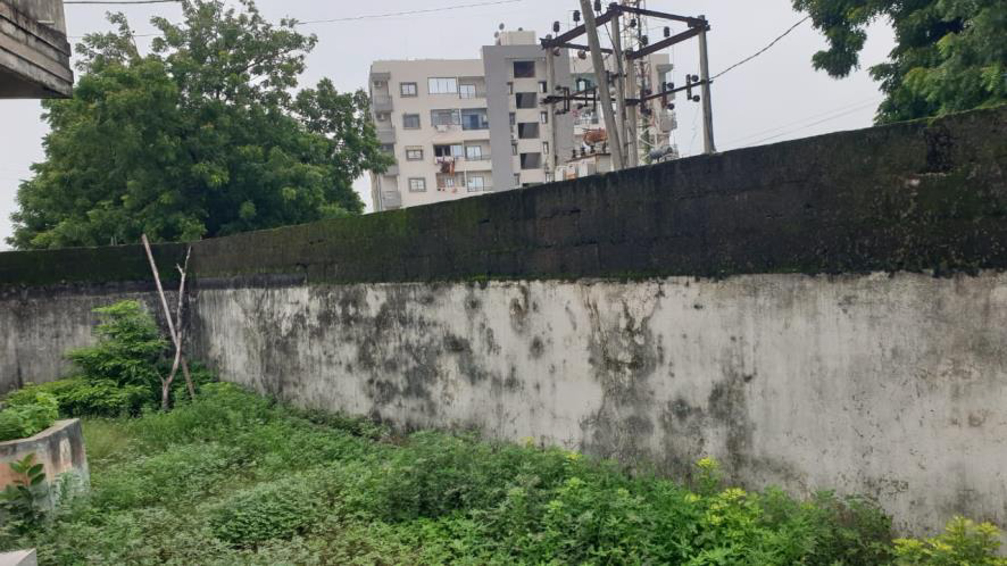 Bungalow for sale in MANAVADAR Manavadar — photo 14