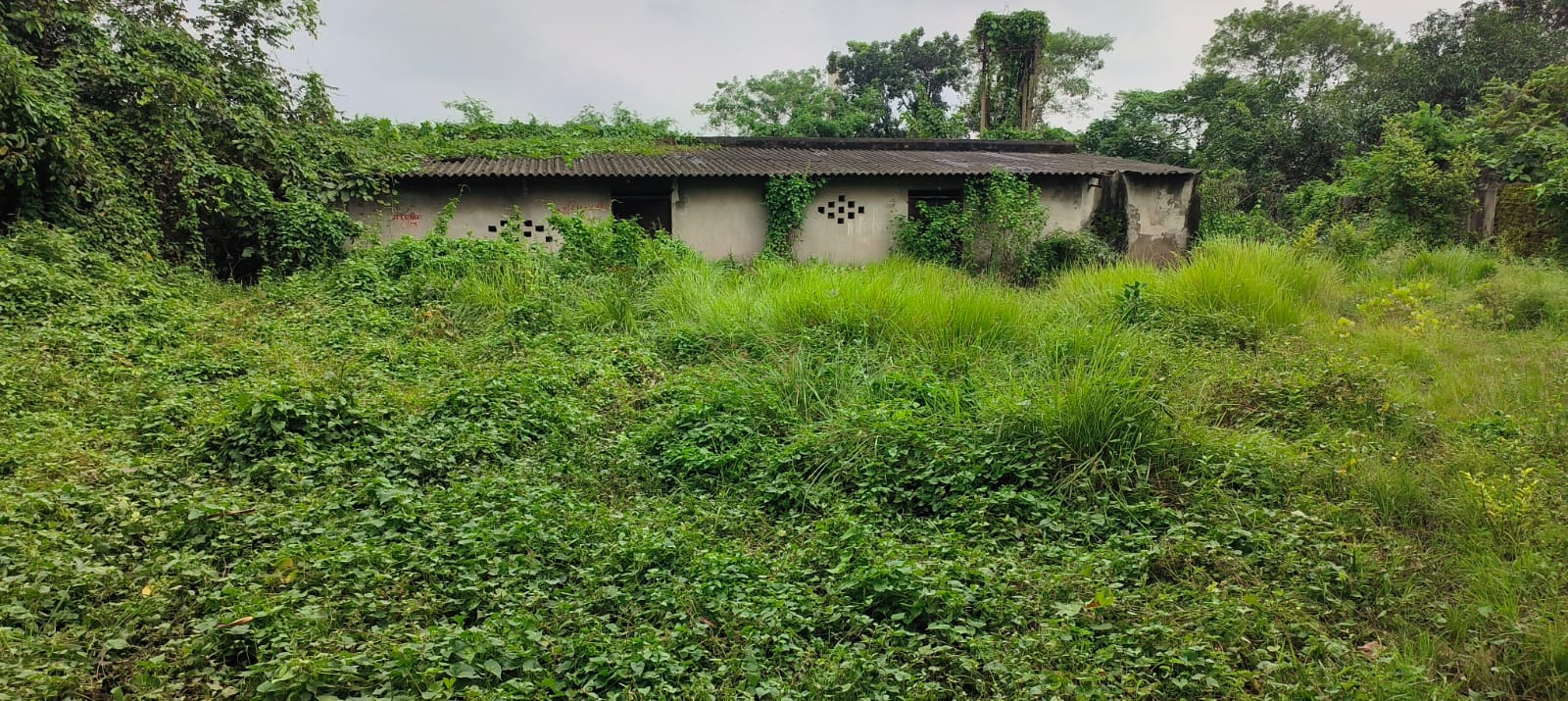 Industrial Shed for sale in Kalna, Purba Bardhaman Kalna — photo 1
