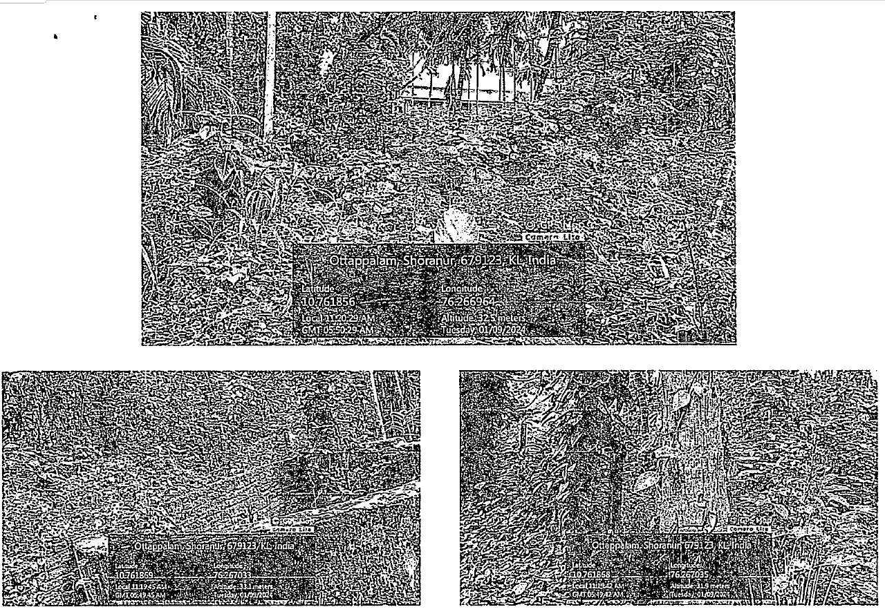 Plot for sale in Shoranur — photo 1