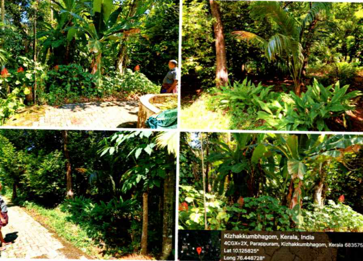 Plot for sale in Angamaly — photo 1