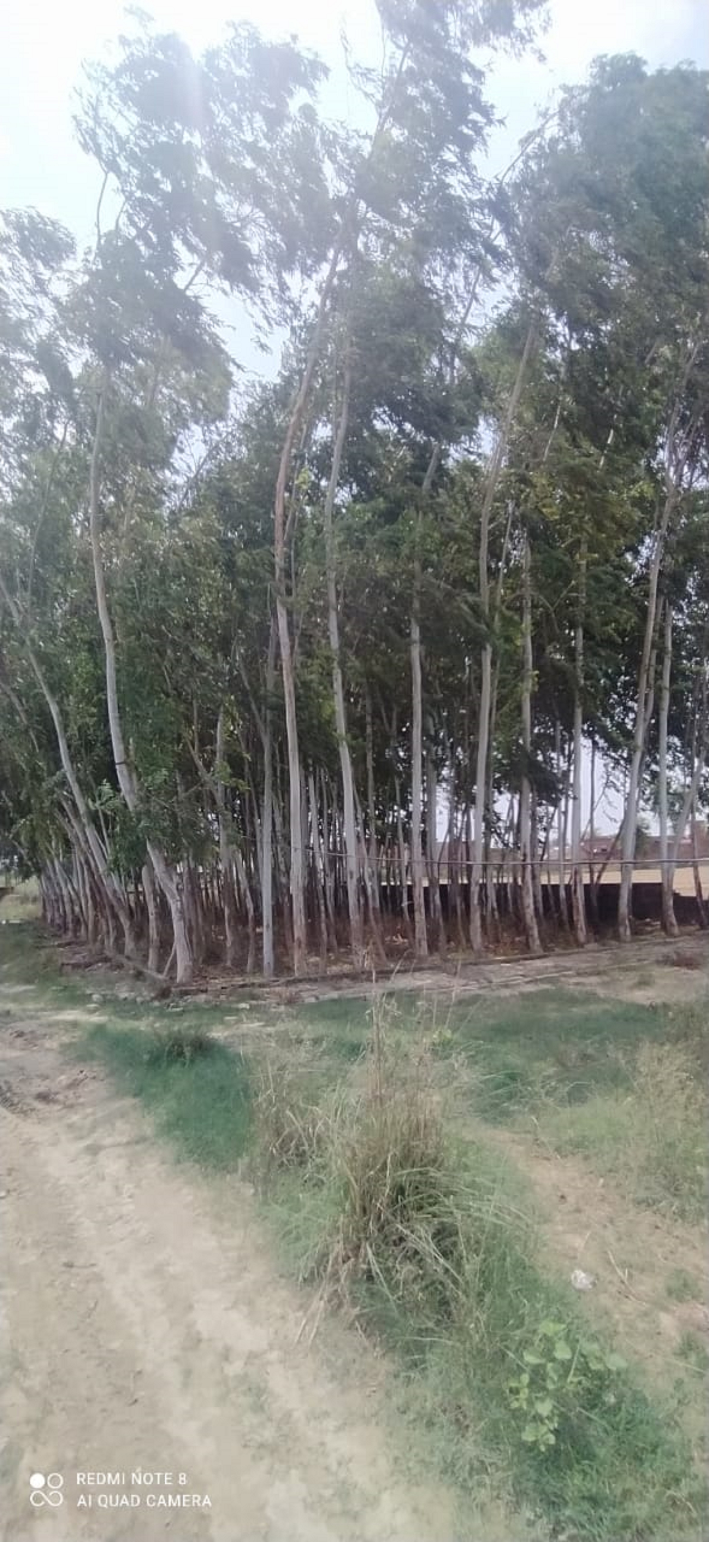 Individual House for sale in Shahjahanpur — photo 1