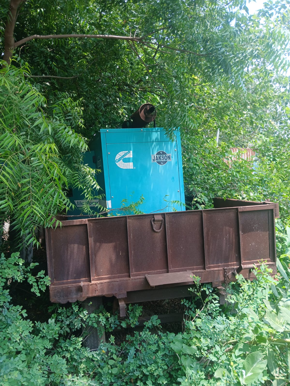 Plant & Machinery for sale in Sampla — photo 2
