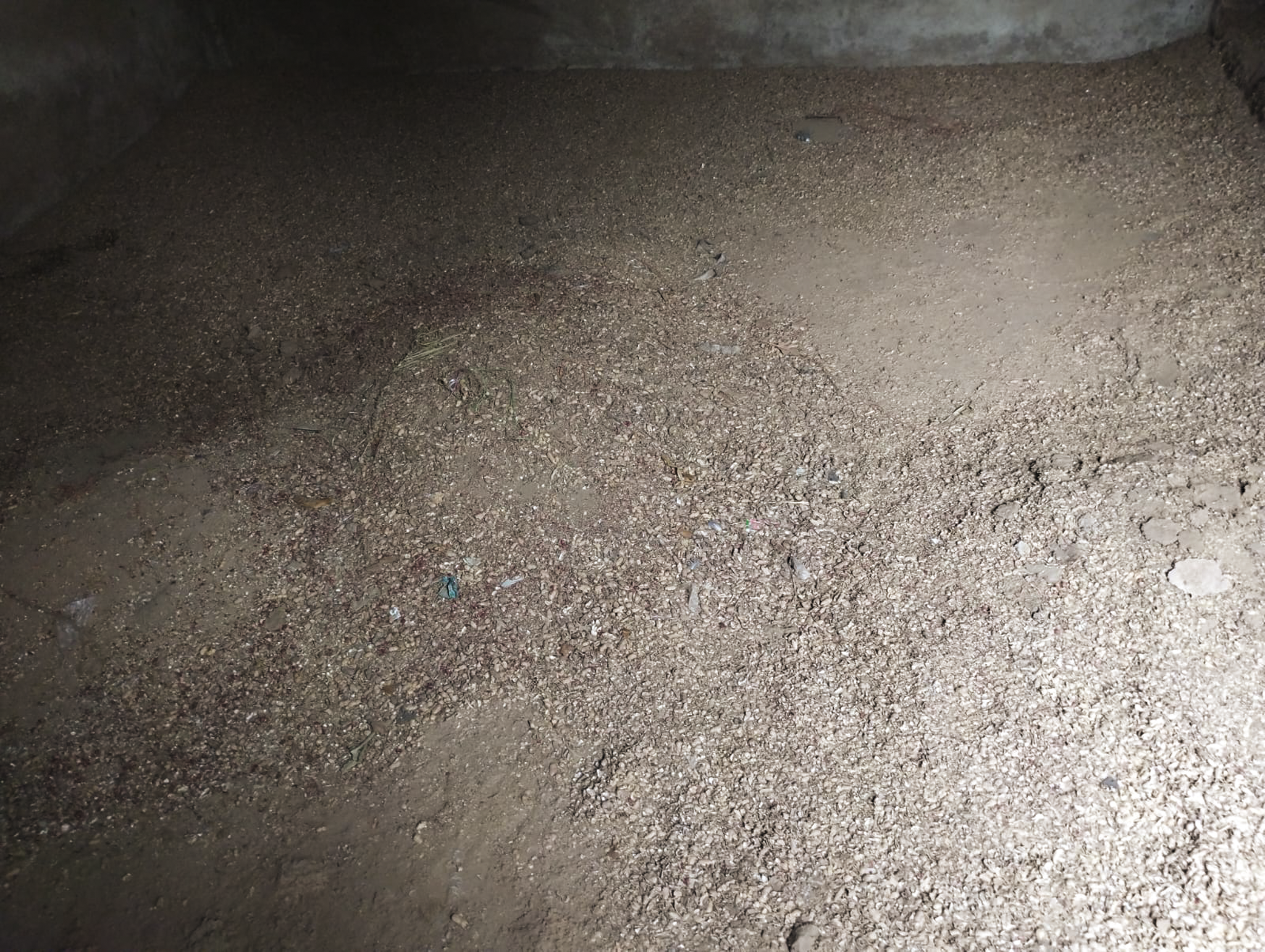 456.4 square meter Industrial Shed for sale in PRAGATI INDUSTRIAL ESTATE, PRAGATI INDUSTRIAL ESTATE, KAPADWANJ MODASA ROAD, KAPADWANJ, KHEDA-387620 Kapadvanj — photo 17