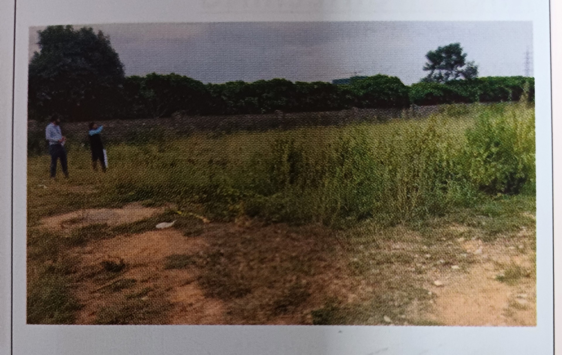 6000 square feet Plot for sale in VISHWAPRIYA GREENARIES, BEGUR Bengaluru — photo 1