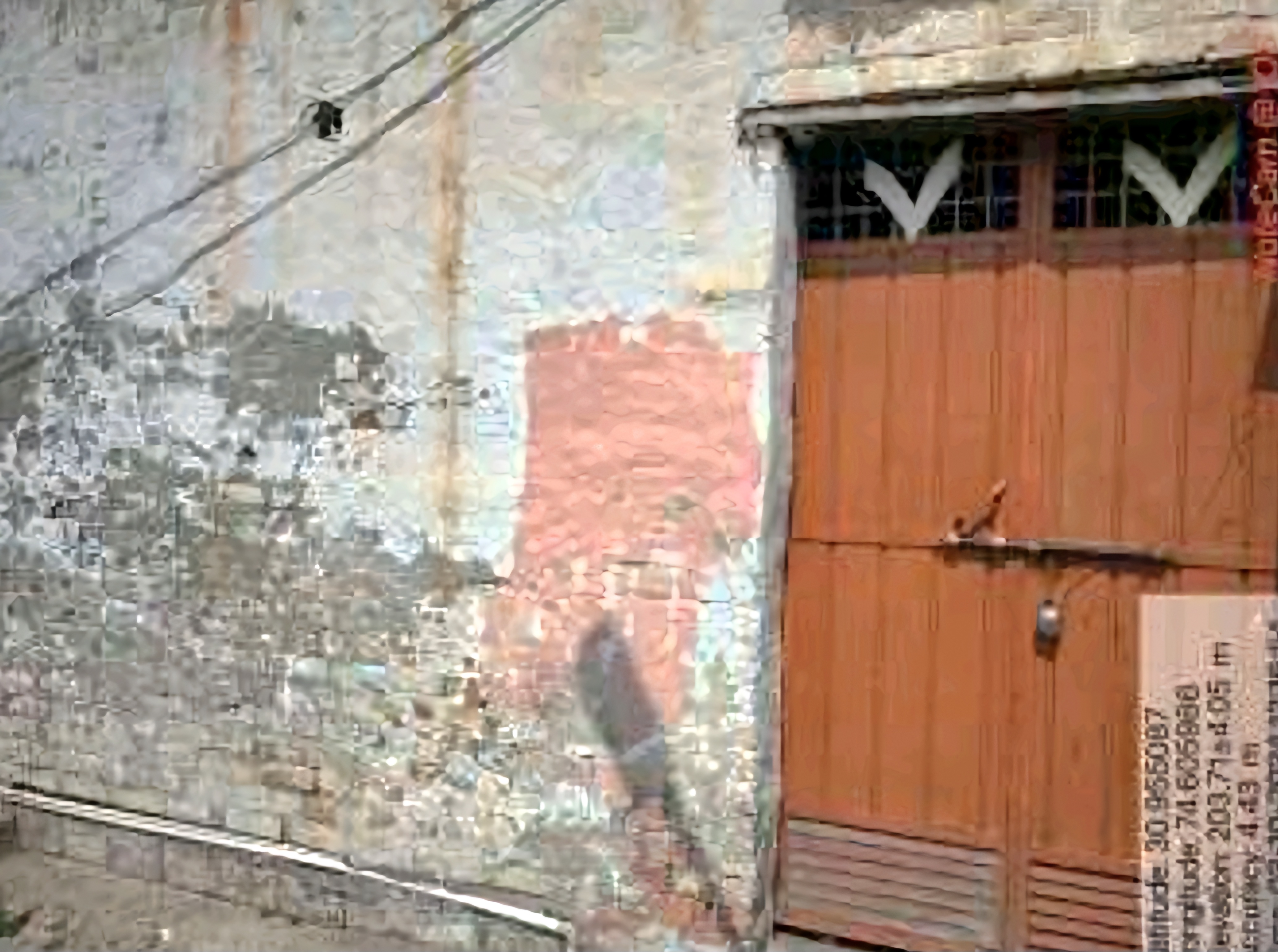 2 BHK Individual House for sale in Satyewala — photo 2