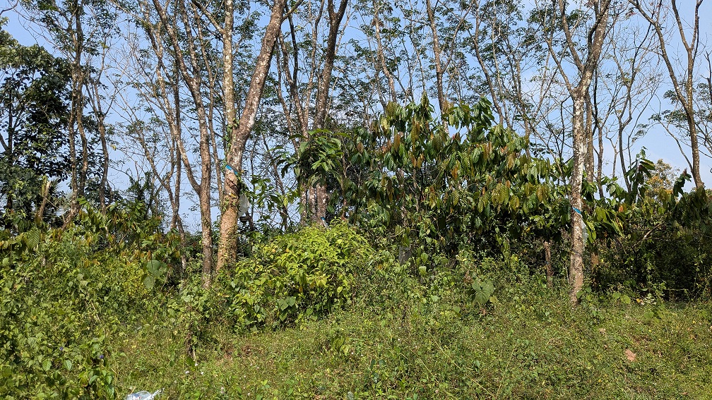 Individual House for sale in Kanjirappally — photo 1