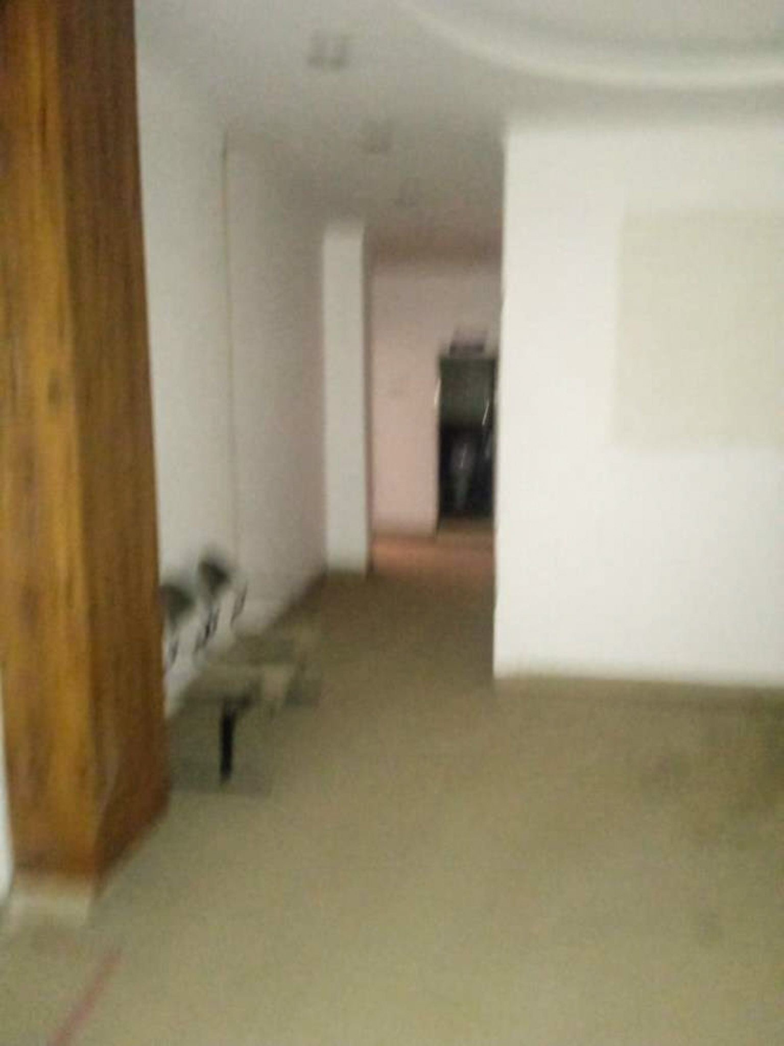 Office for sale in Malhotra Hospital, Bhatoli Kalan, Baddi Baddi — photo 38