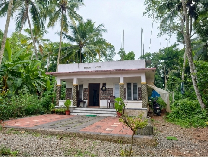 1136 square feet Individual House for sale in KULATHUMMAL VILLAGE Kulathummal — photo 3