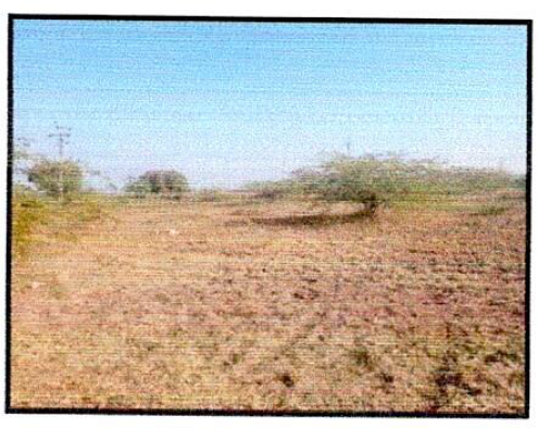 31500 square meter Industrial Plot for sale in Dasada SURENDRA NAGAR — photo 1