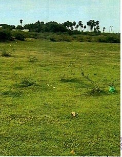 VACANT LAND for sale in Ranipet — photo 2