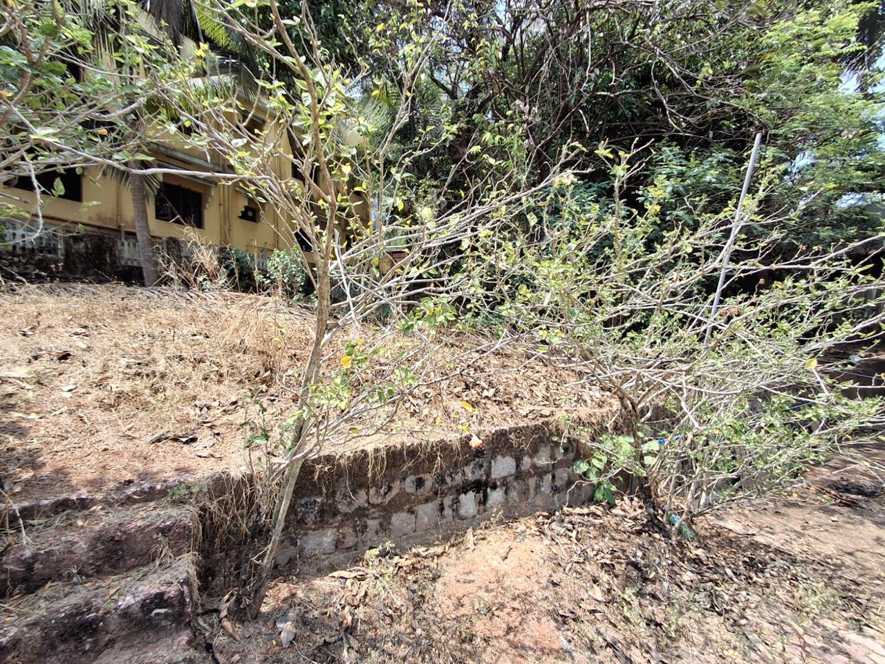 Plot for sale in Mangaluru — photo 2