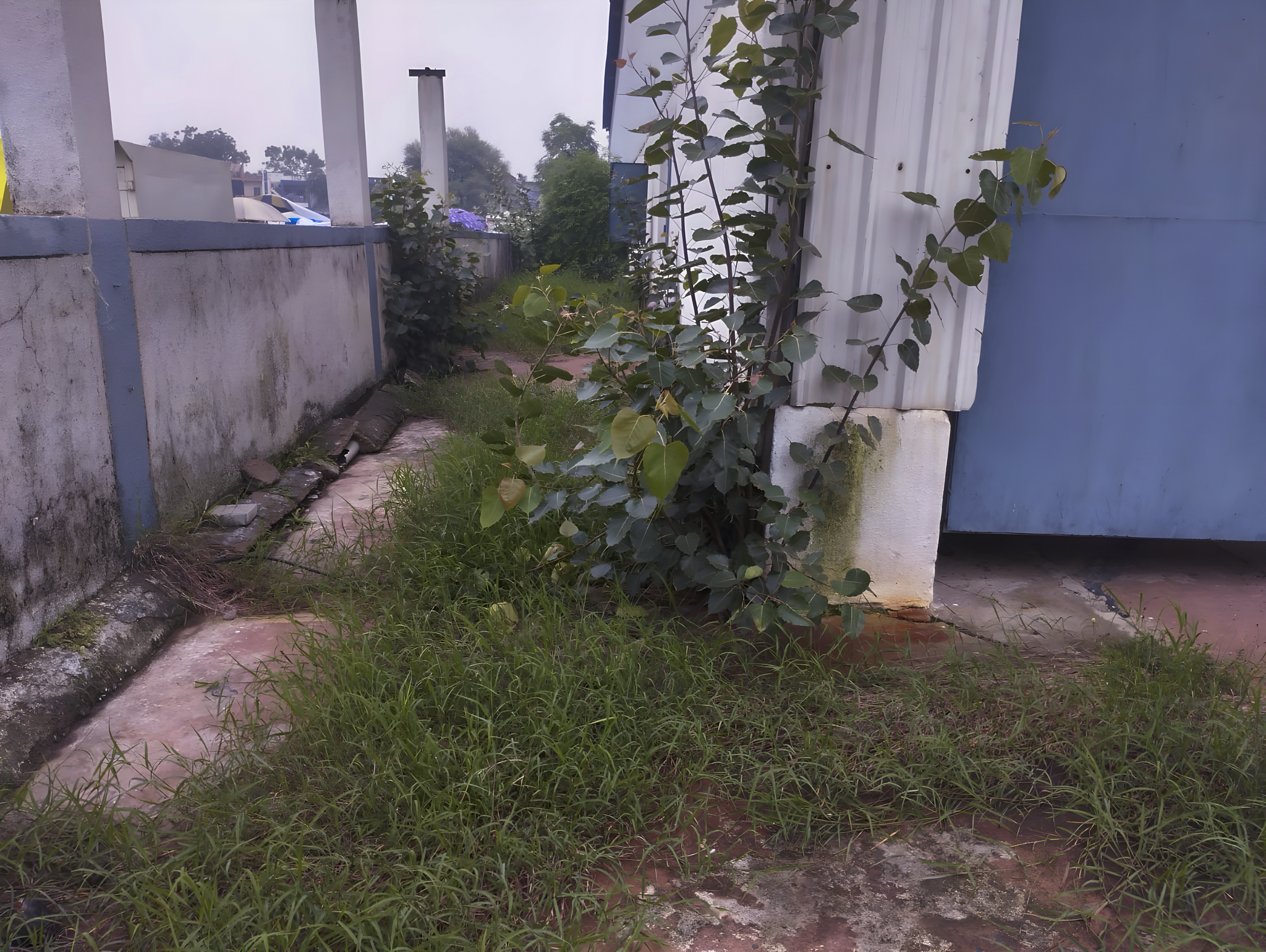 1394 square meter Industrial Shed for sale in Zank Ahmedabad Ahmedabad — photo 13