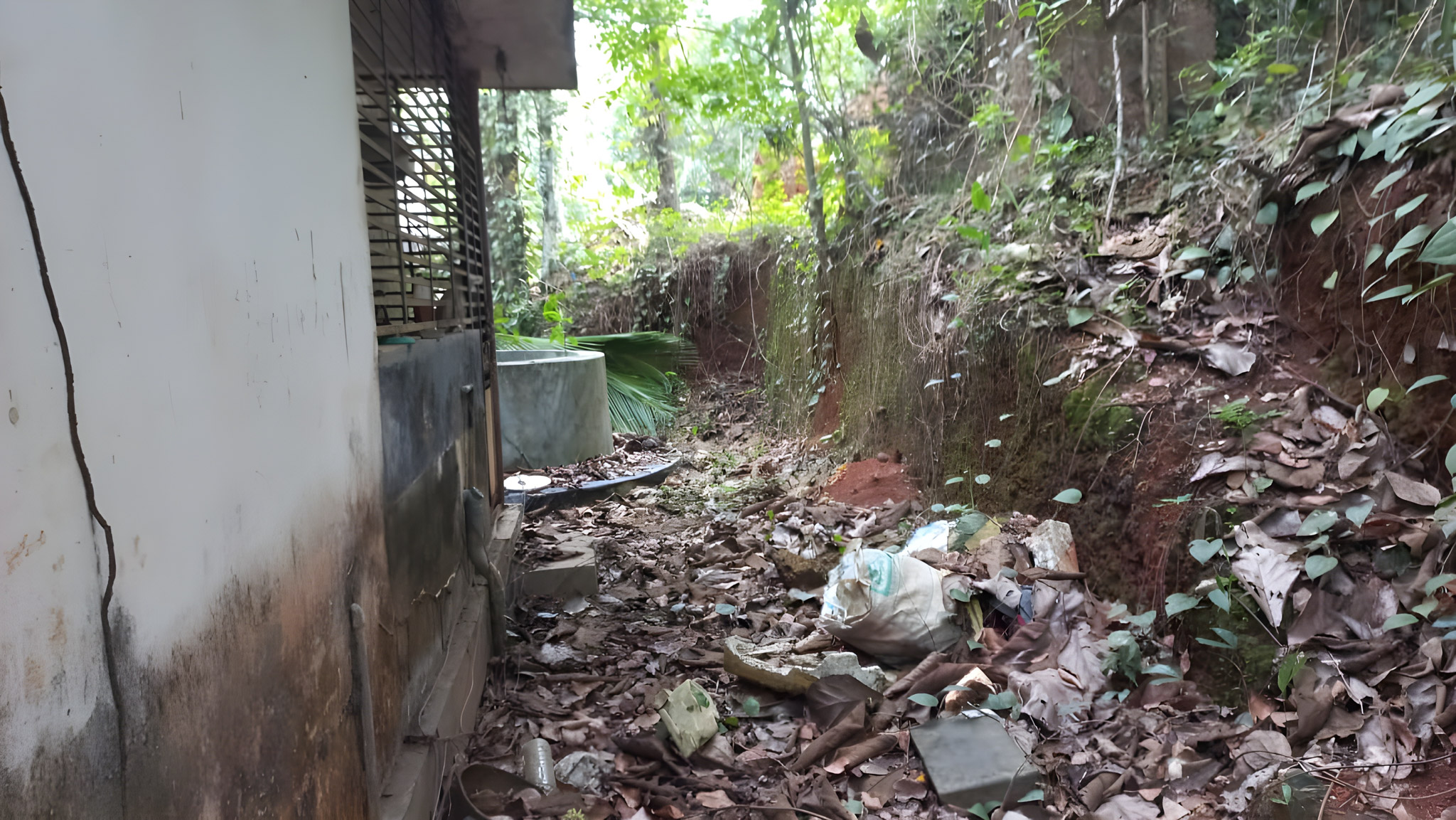800 square feet Individual House for sale in Kandamkunnu — photo 3