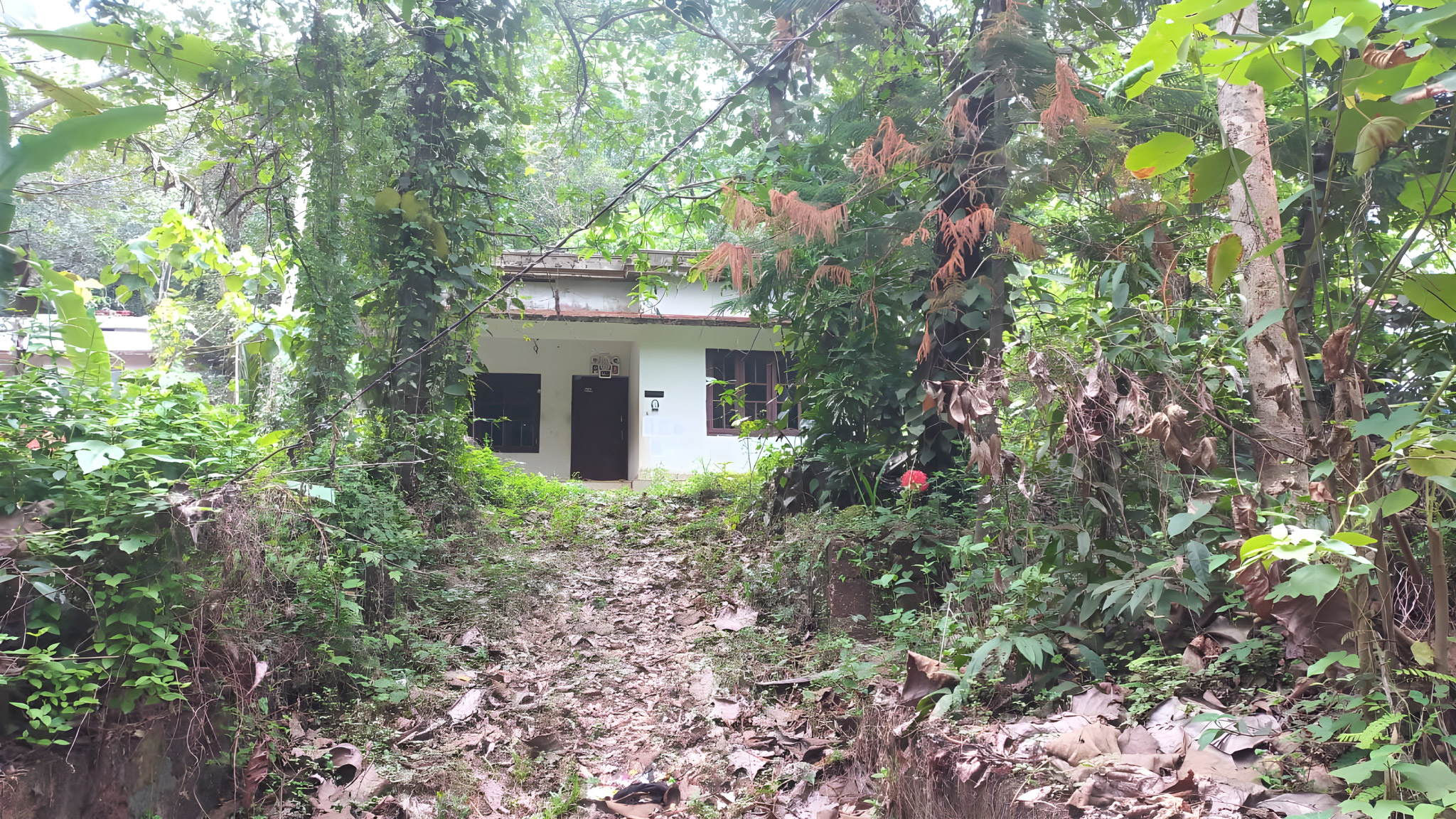 800 square feet Individual House for sale in Kandamkunnu — photo 4