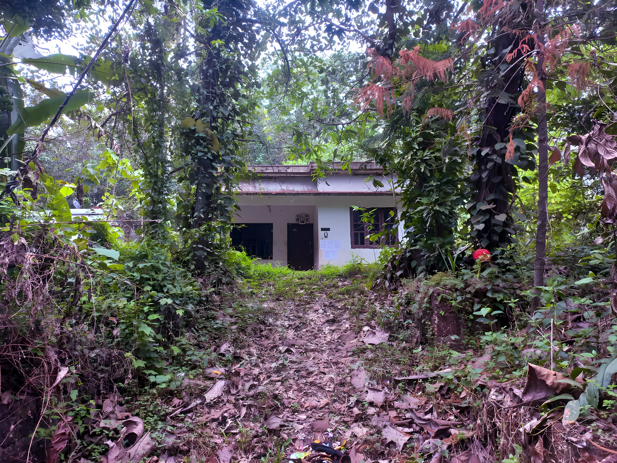 800 square feet Individual House for sale in Kandamkunnu — photo 19