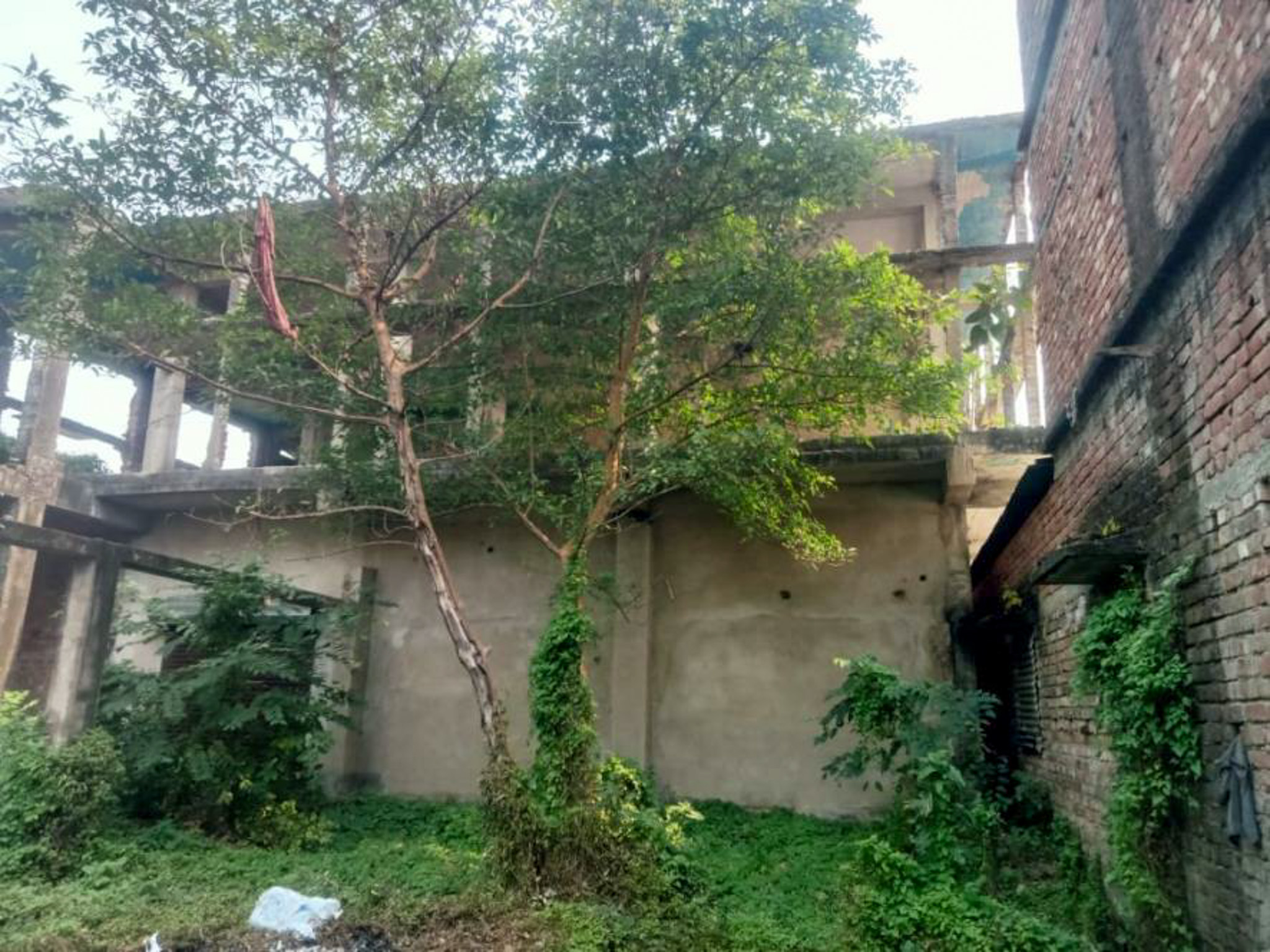 Office for sale in mouza-khanakkhanpur, VILL-BHIMPUR BANDIPUR GRAM PANCHAYET Bargachhia Hooghly — photo 4