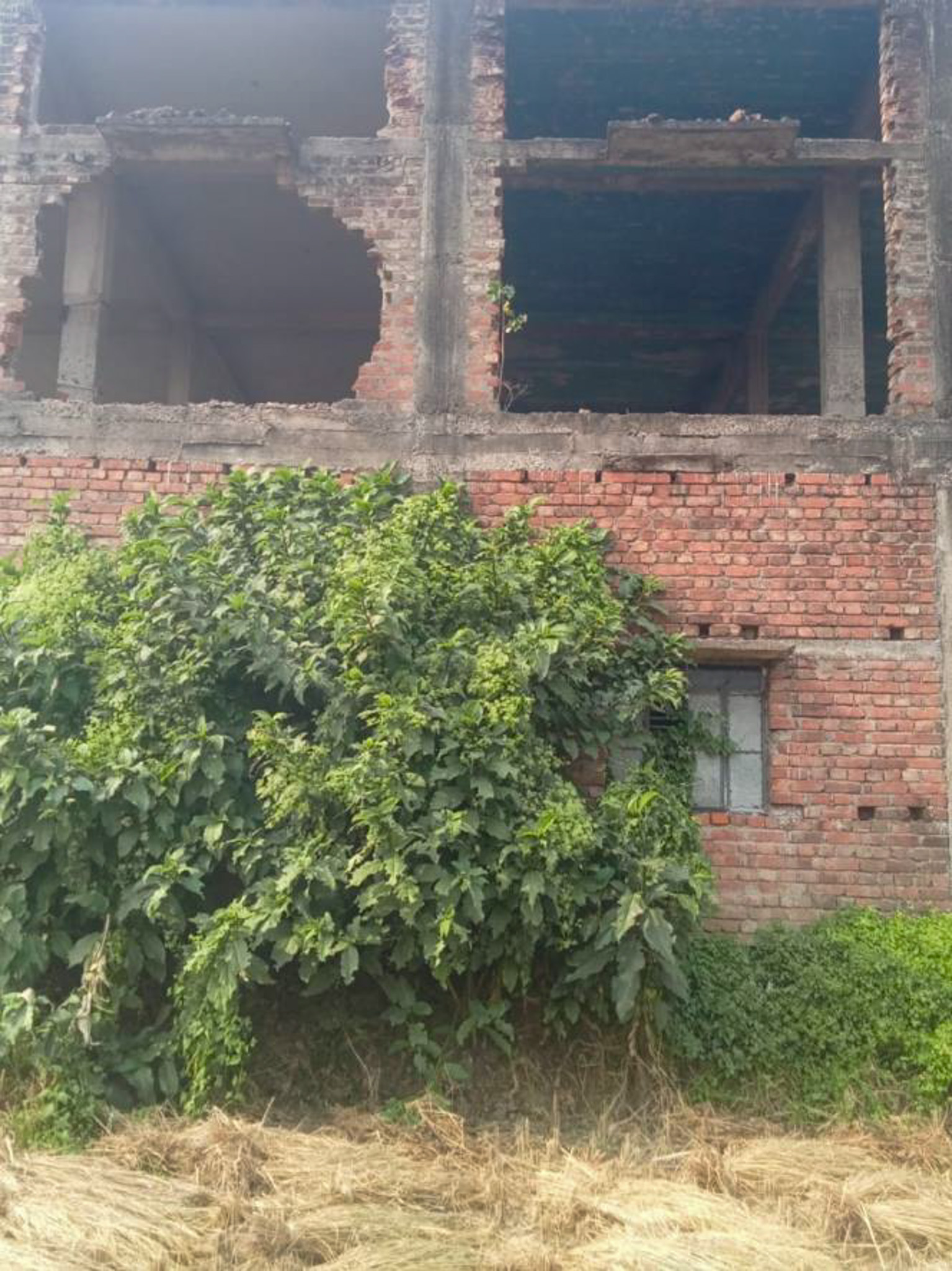 Office for sale in mouza-khanakkhanpur, VILL-BHIMPUR BANDIPUR GRAM PANCHAYET Bargachhia Hooghly — photo 10