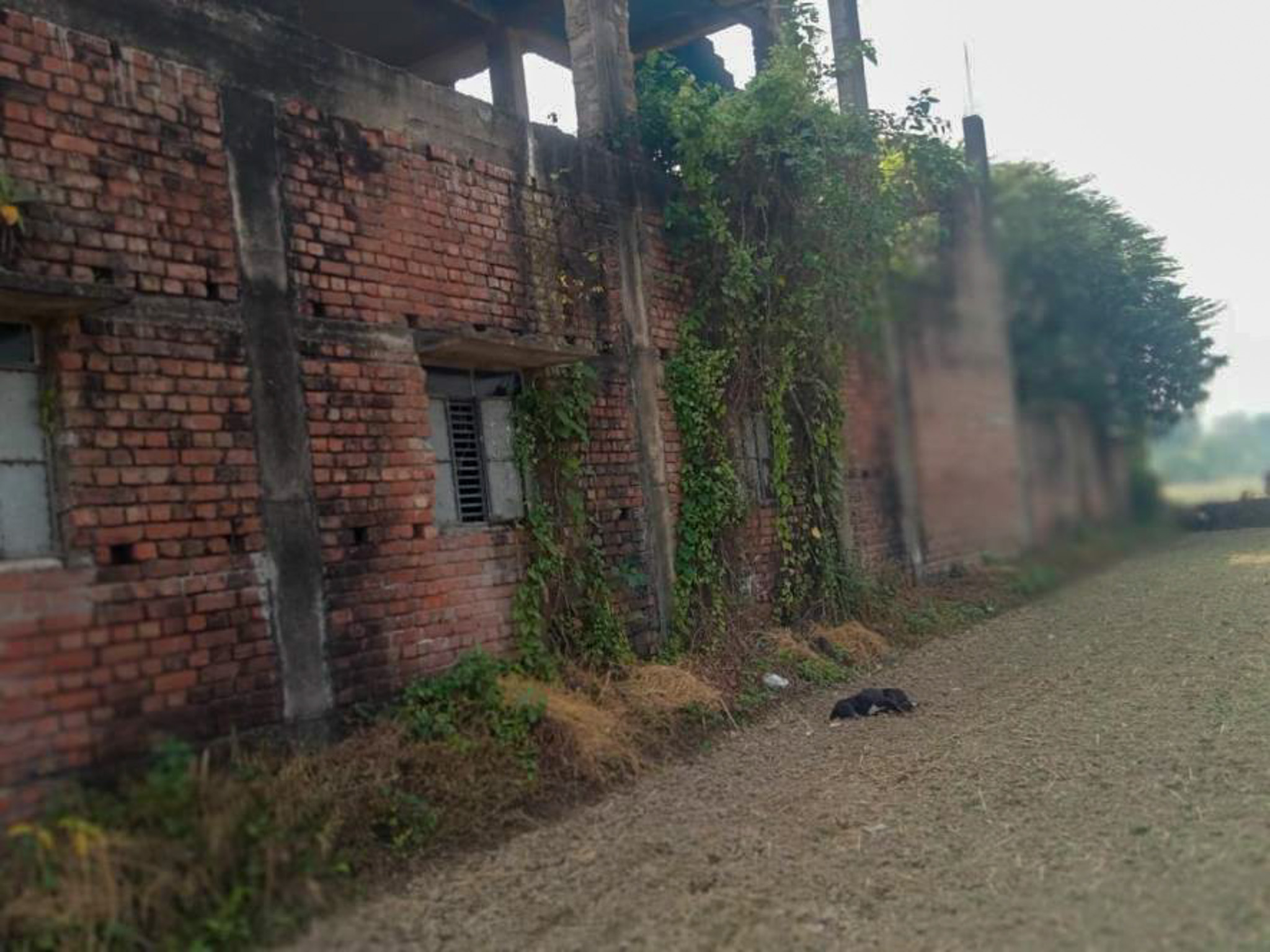 Office for sale in mouza-khanakkhanpur, VILL-BHIMPUR BANDIPUR GRAM PANCHAYET Bargachhia Hooghly — photo 21