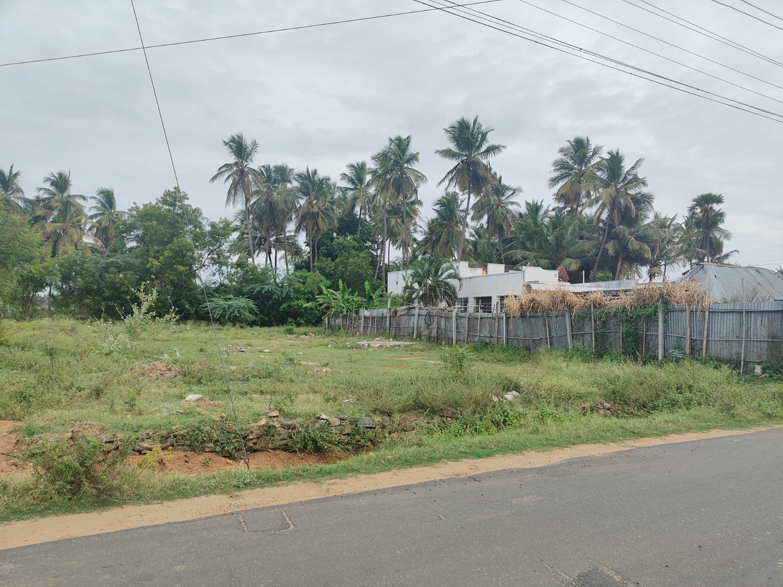 Plot for sale in Nasiyanur — photo 1