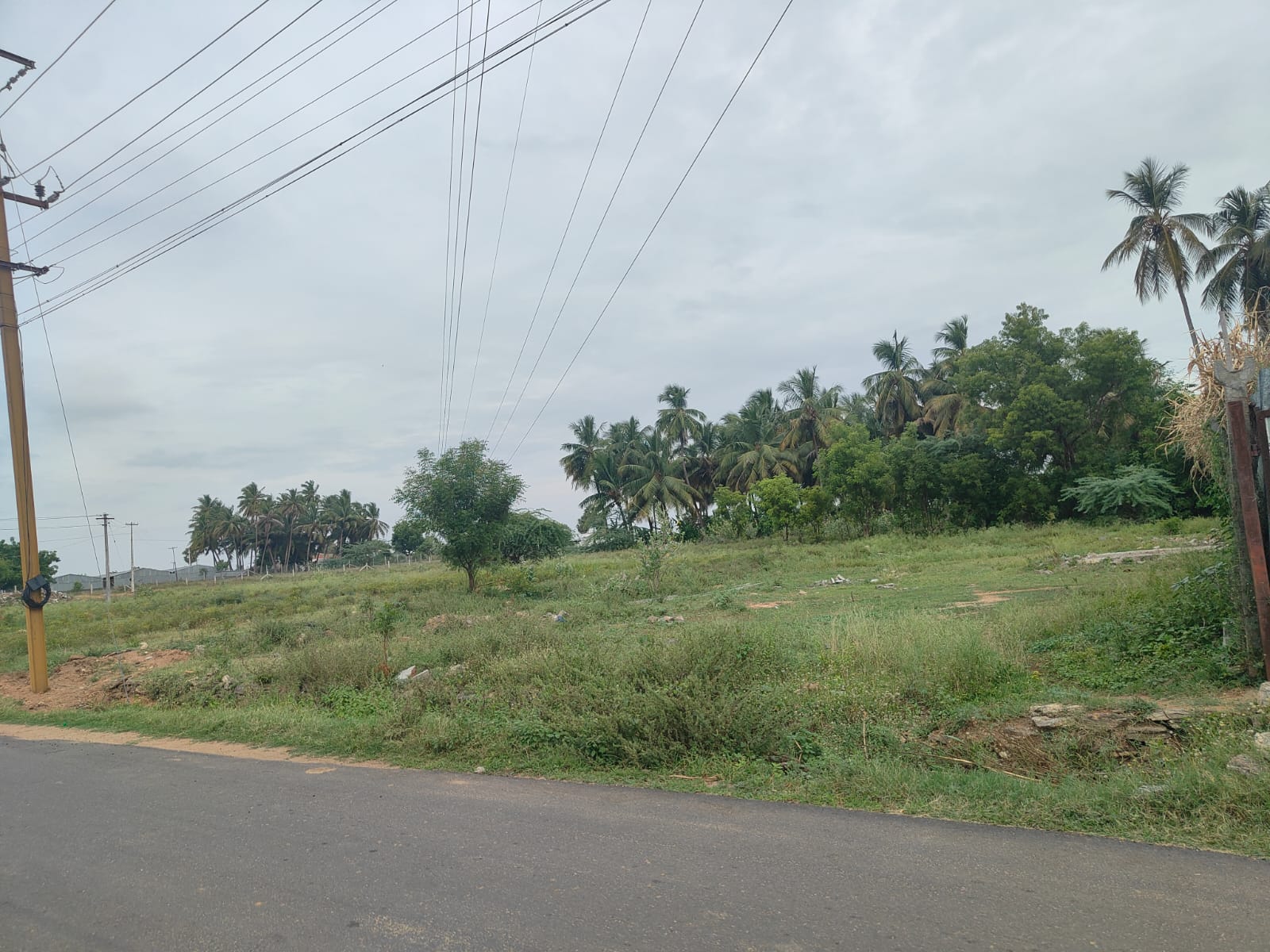 Plot for sale in Nasiyanur — photo 2