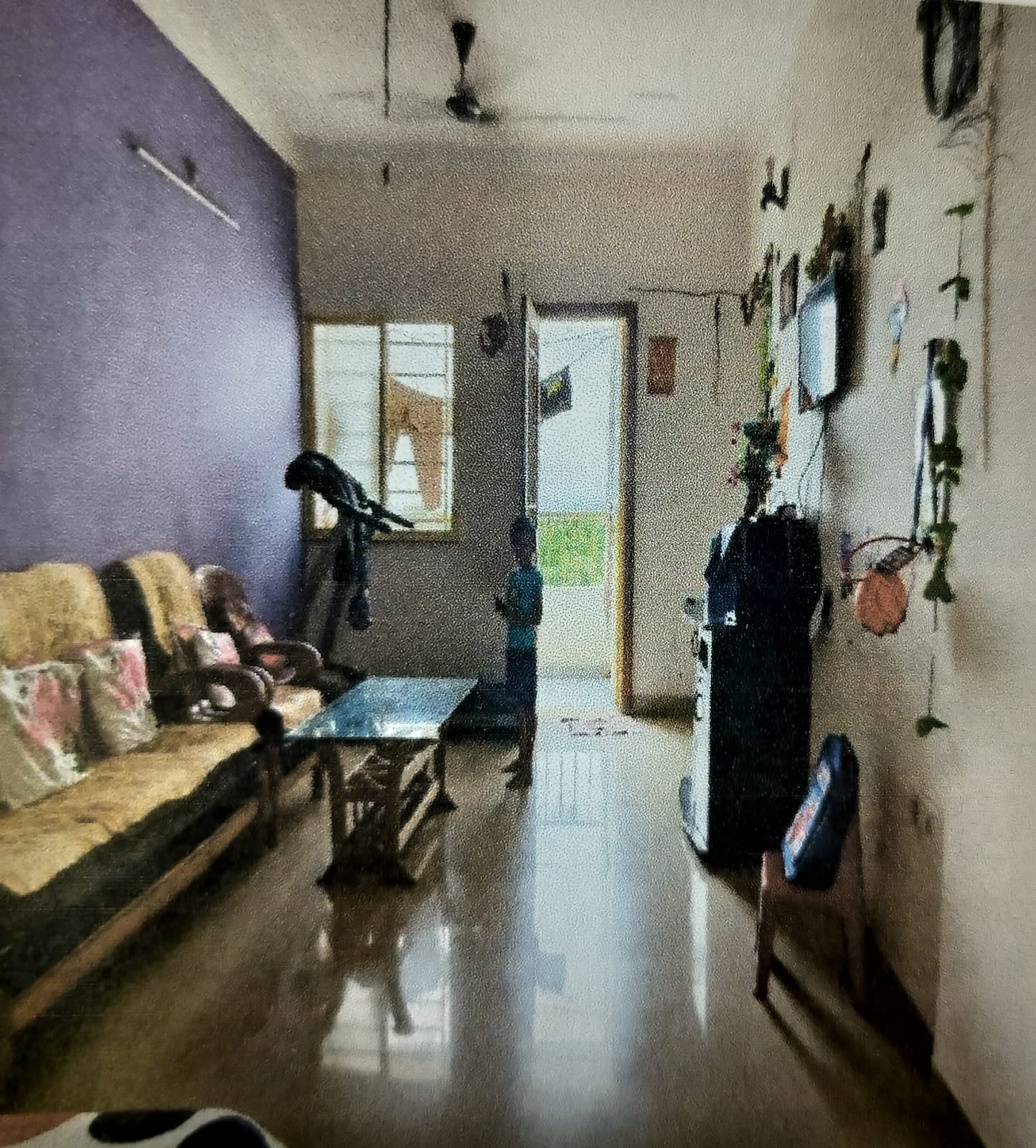 920 square feet Flat for sale in Mandideep — photo 2