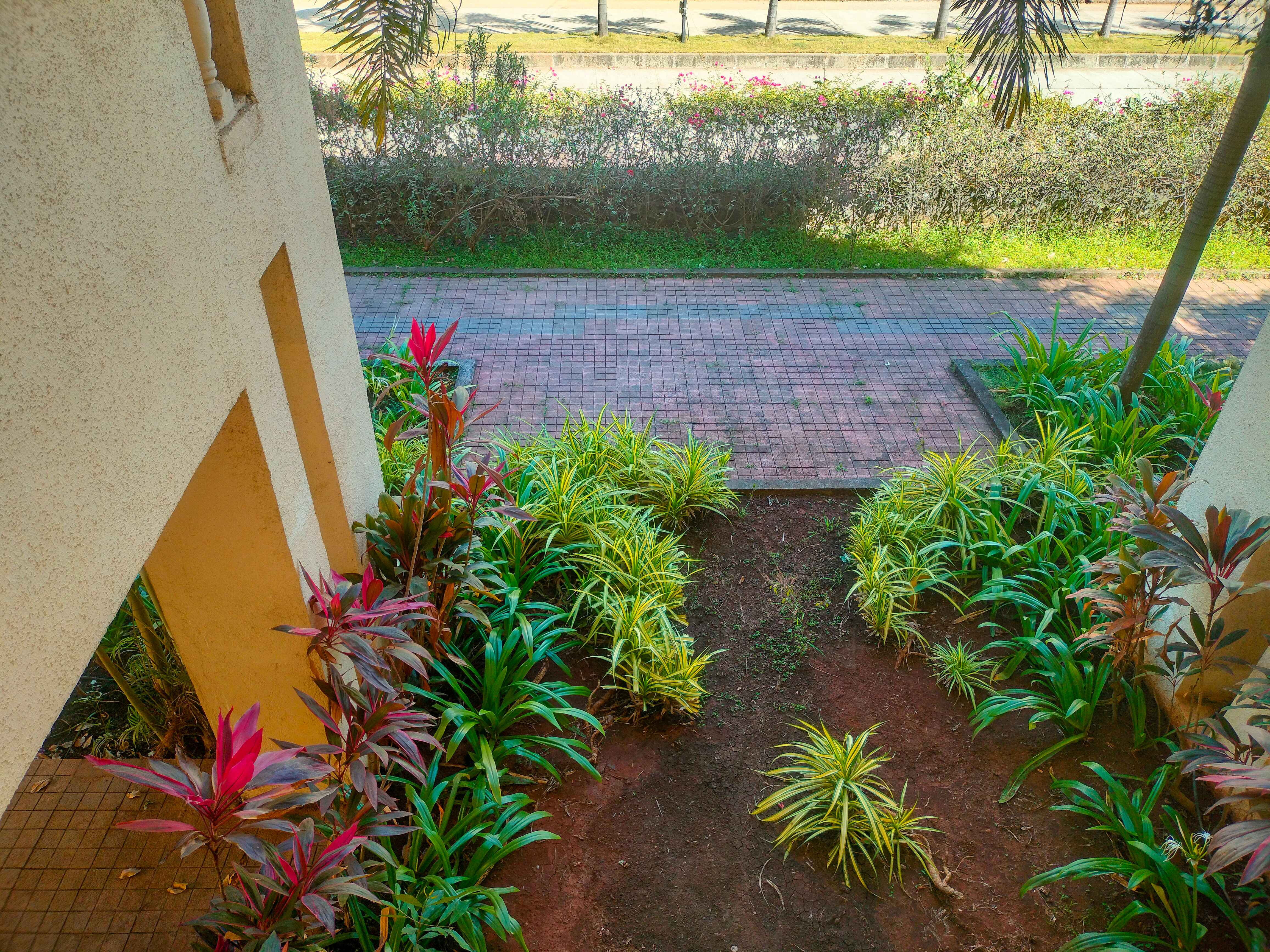 681 square feet Flat for sale in Vada — photo 6