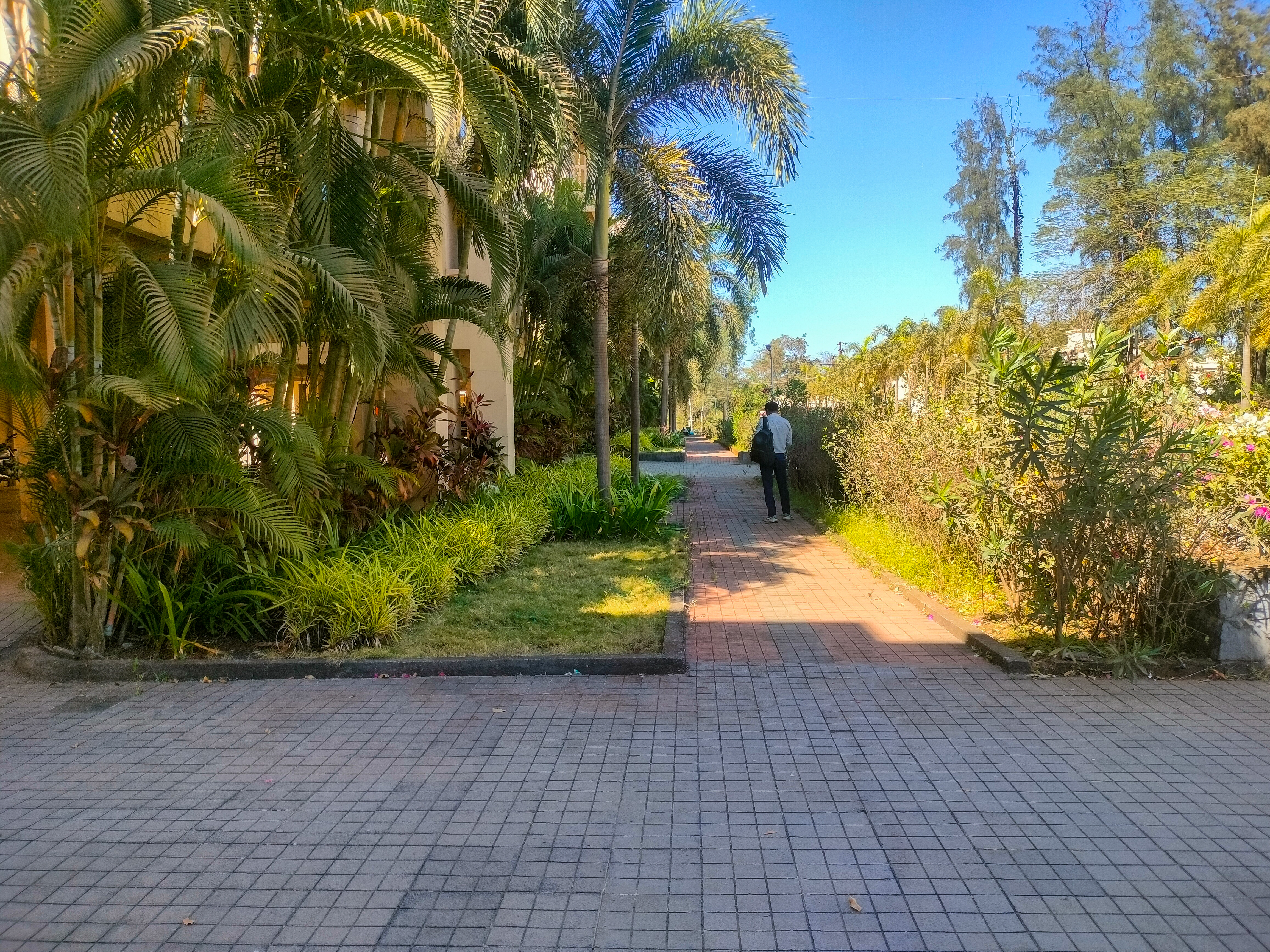 681 square feet Flat for sale in Vada — photo 21