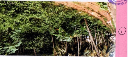 Plot for sale in Kaliyakkavilai — photo 1