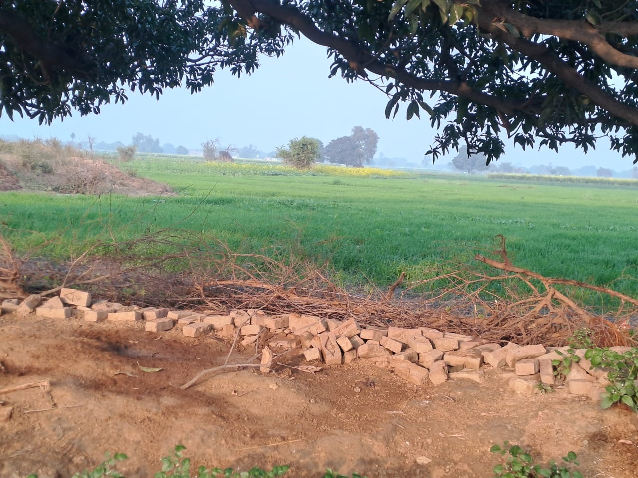 Plot for sale in Etah — photo 5