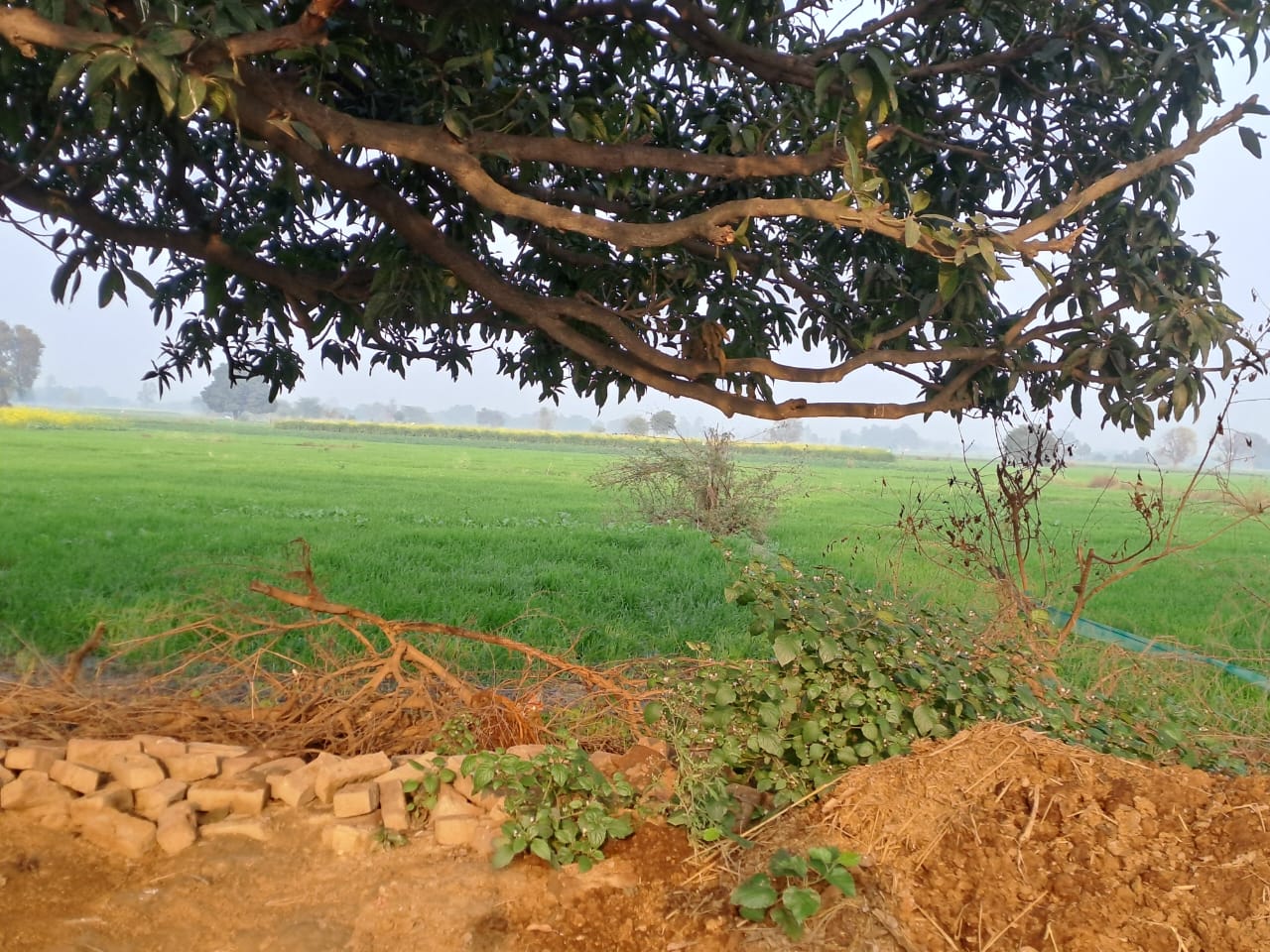 Plot for sale in Etah — photo 3