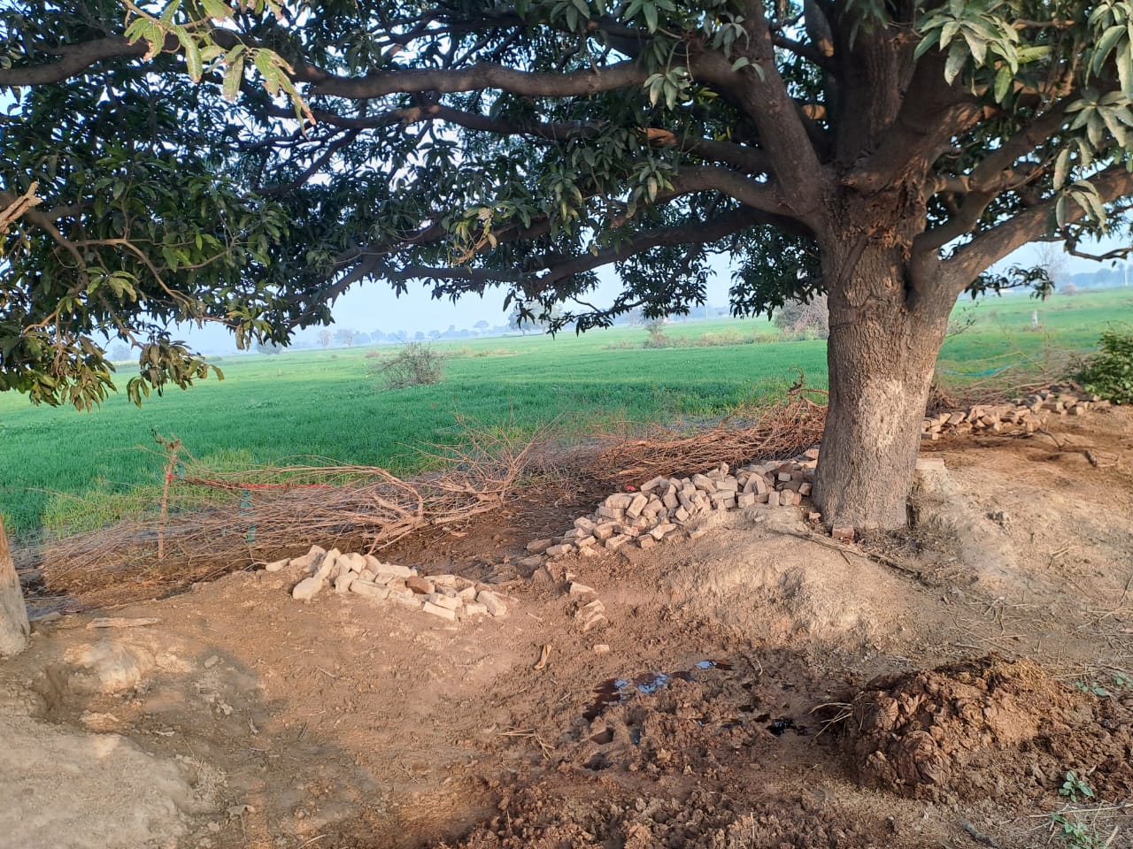 Plot for sale in Etah — photo 1