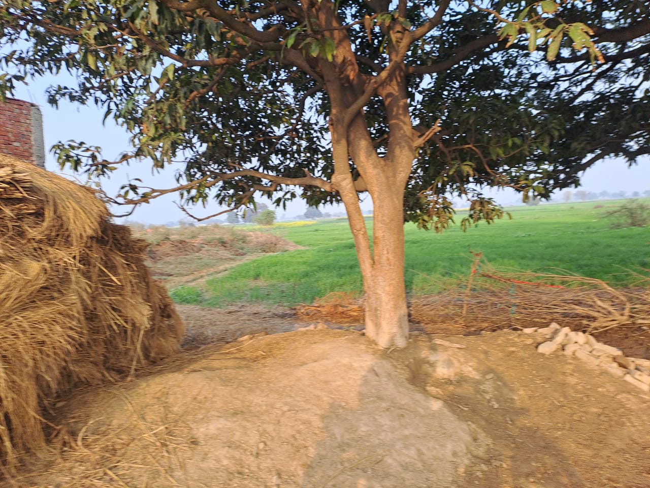 Plot for sale in Etah — photo 4