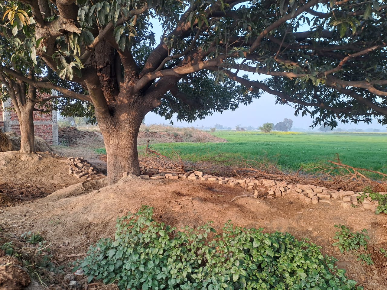 Plot for sale in Etah — photo 7