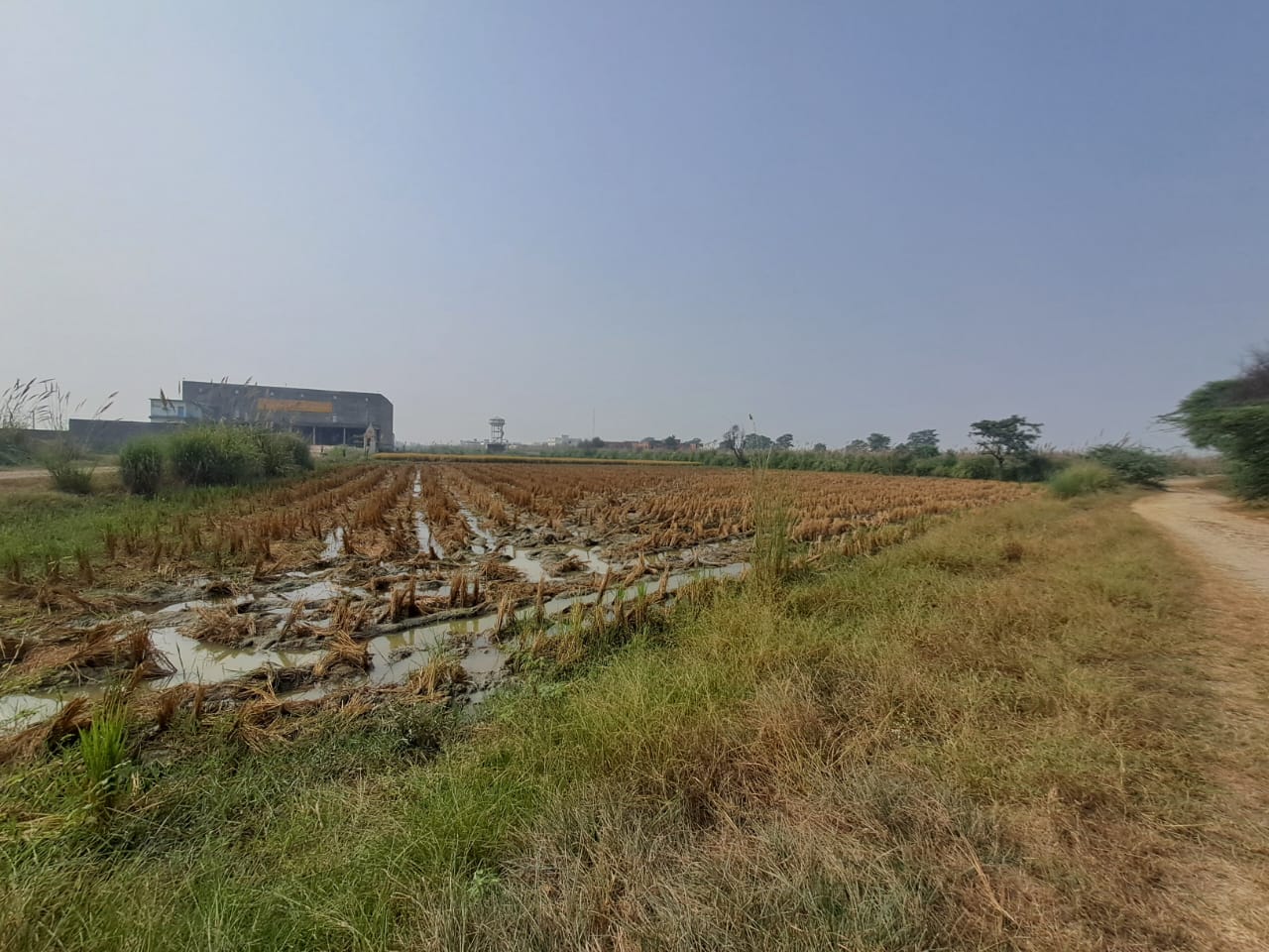 Plot for sale in Devinagar — photo 3
