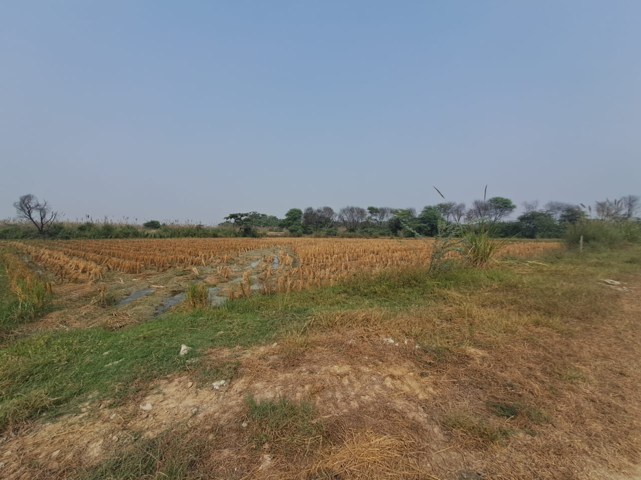 Plot for sale in Devinagar — photo 2