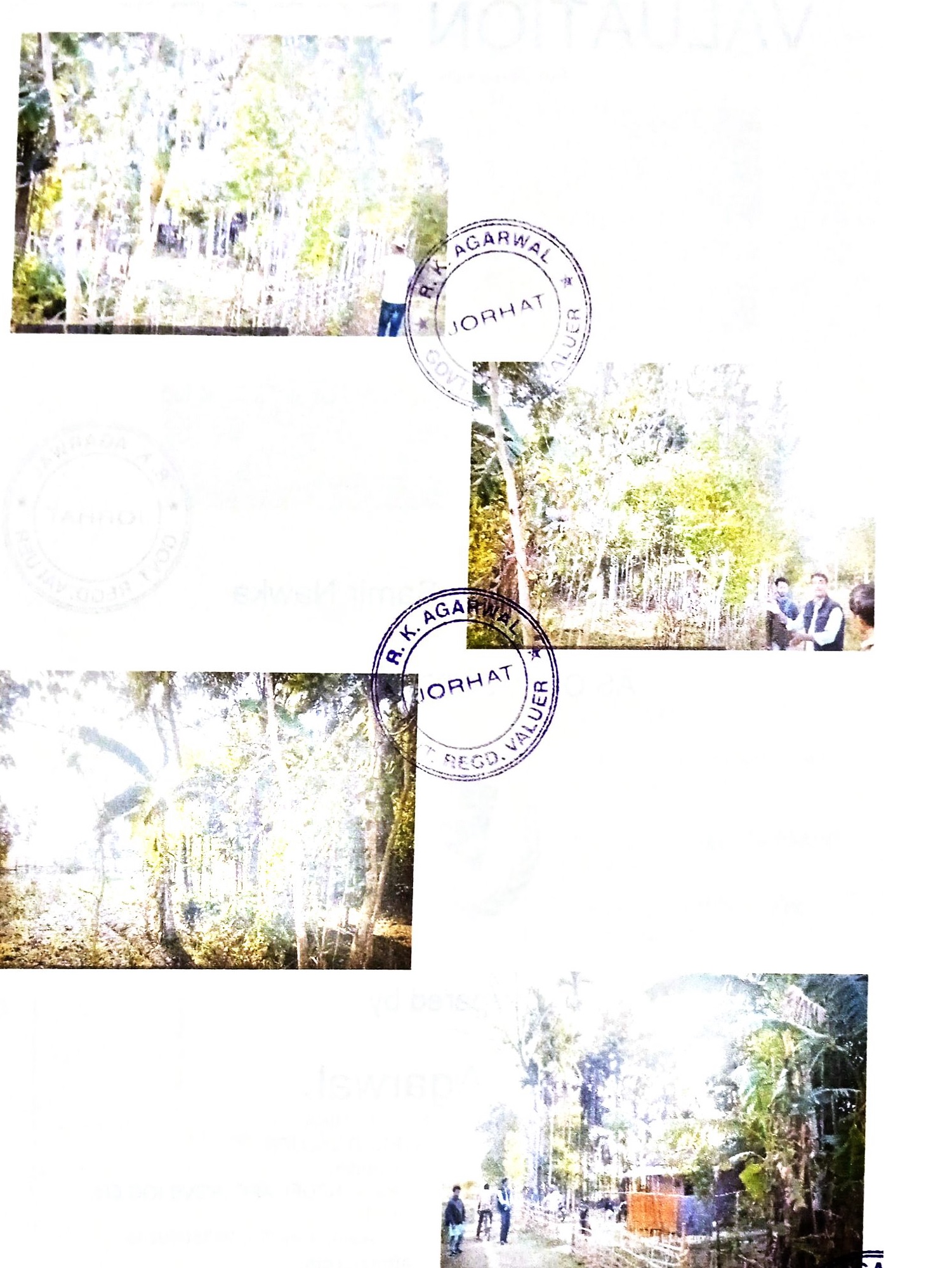 OPEN LAND for sale in Golaghat — photo 1