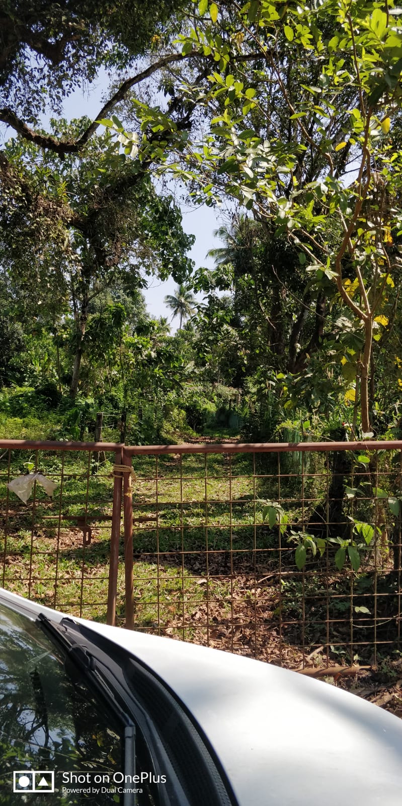Plot for sale in Amballur — photo 1